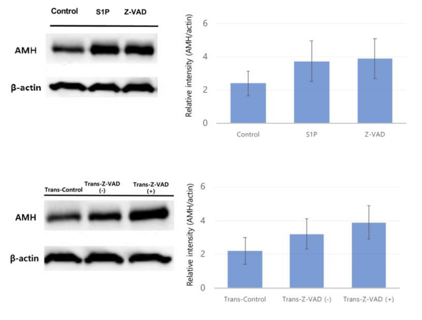 Ijms 22 02534 g005 Ijms 22 02534 g005