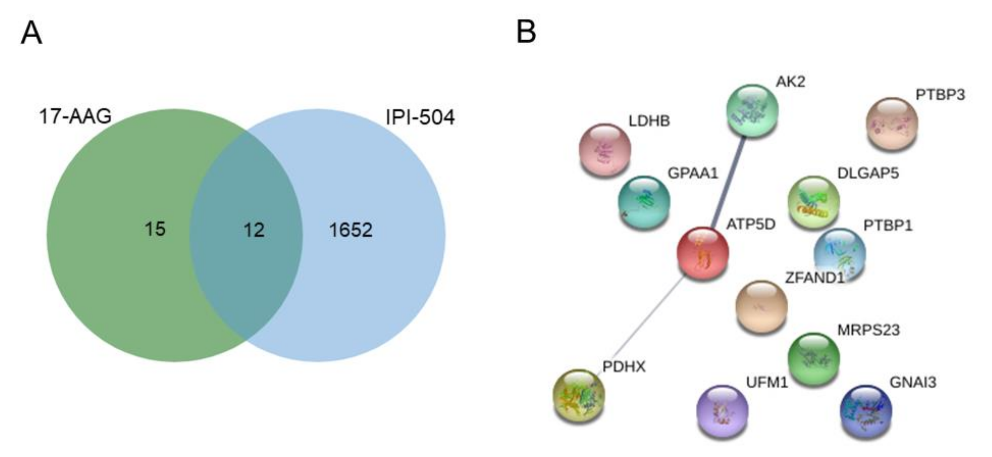 Ijms 22 02538 g002 Ijms 22 02538 g002