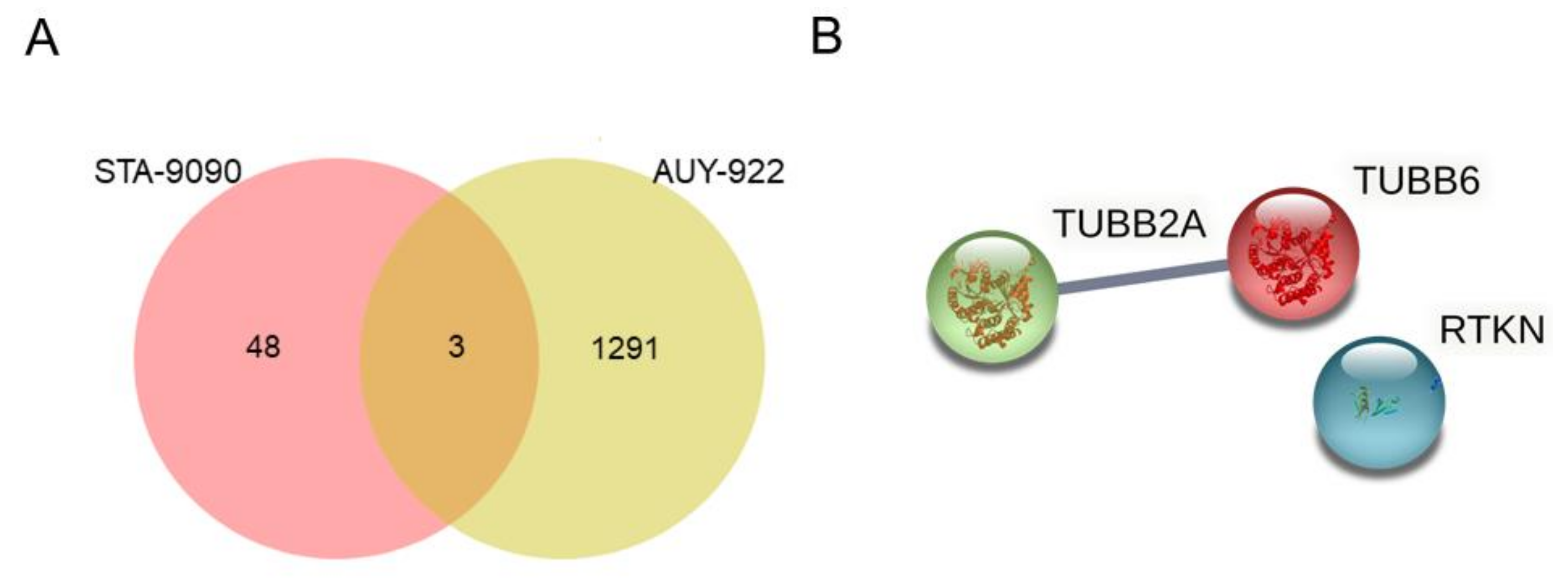 Ijms 22 02538 g003 Ijms 22 02538 g003