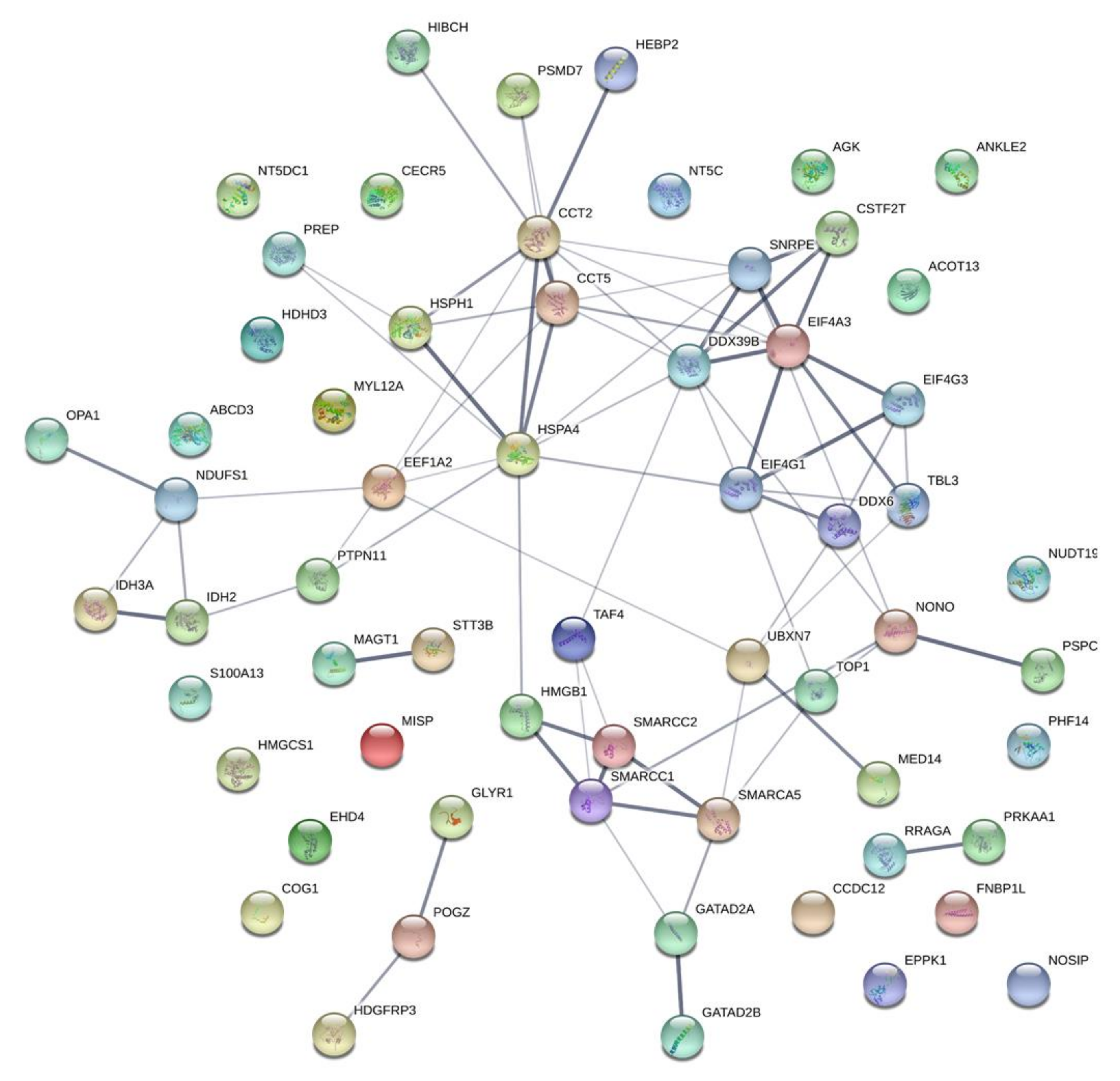 Ijms 22 02538 g005 Ijms 22 02538 g005