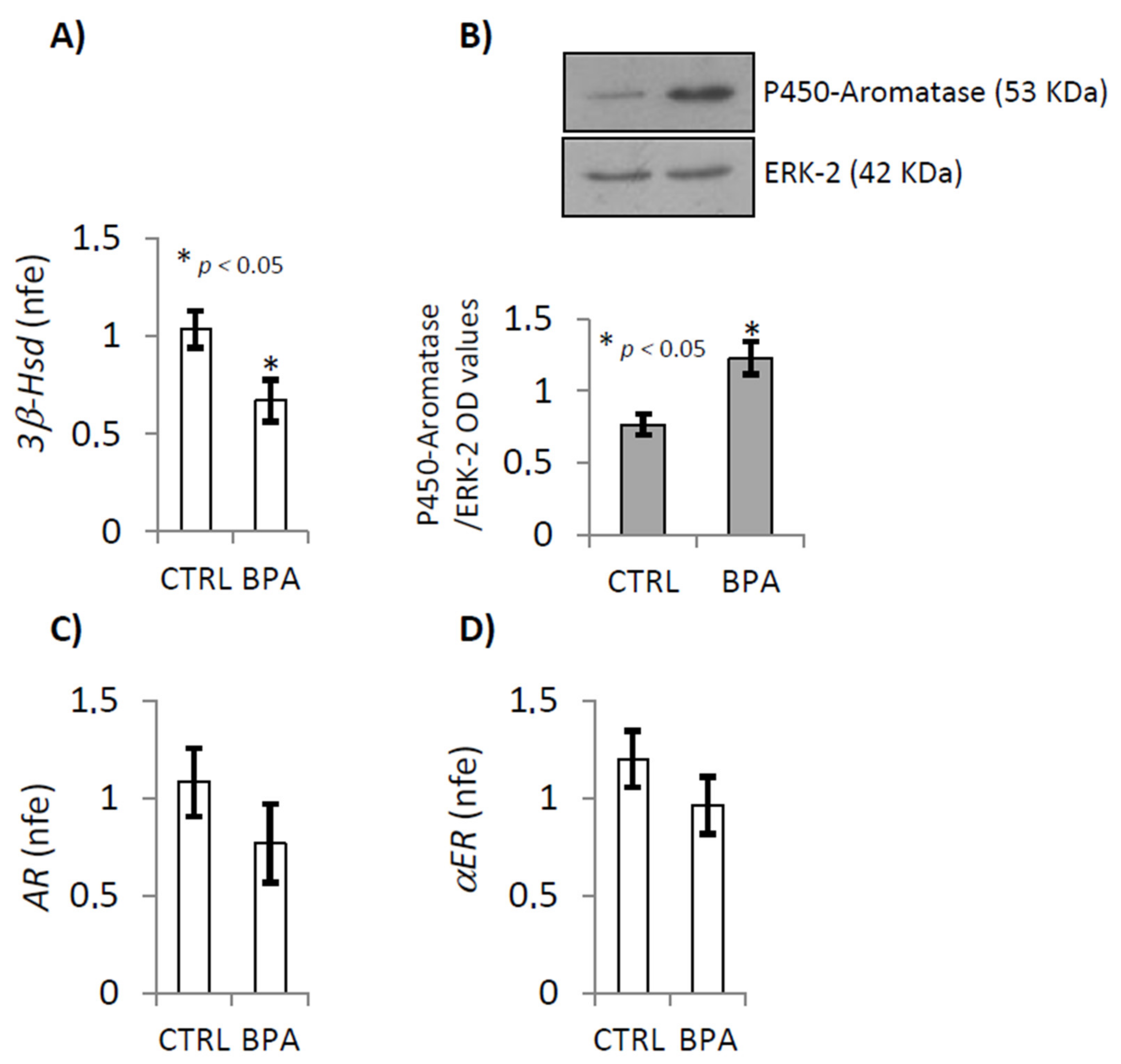 Ijms 22 02540 g002 Ijms 22 02540 g002