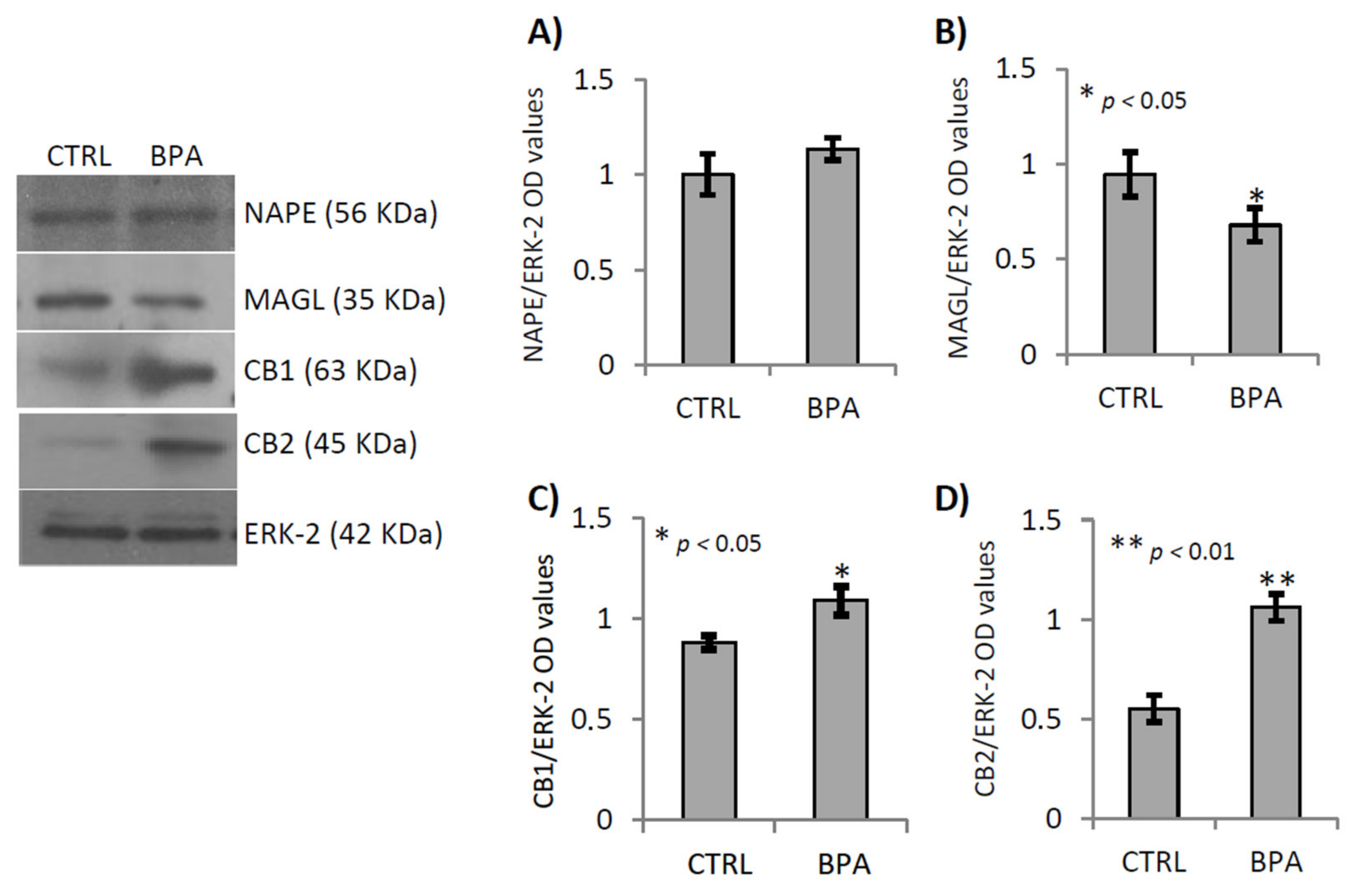 Ijms 22 02540 g004 Ijms 22 02540 g004