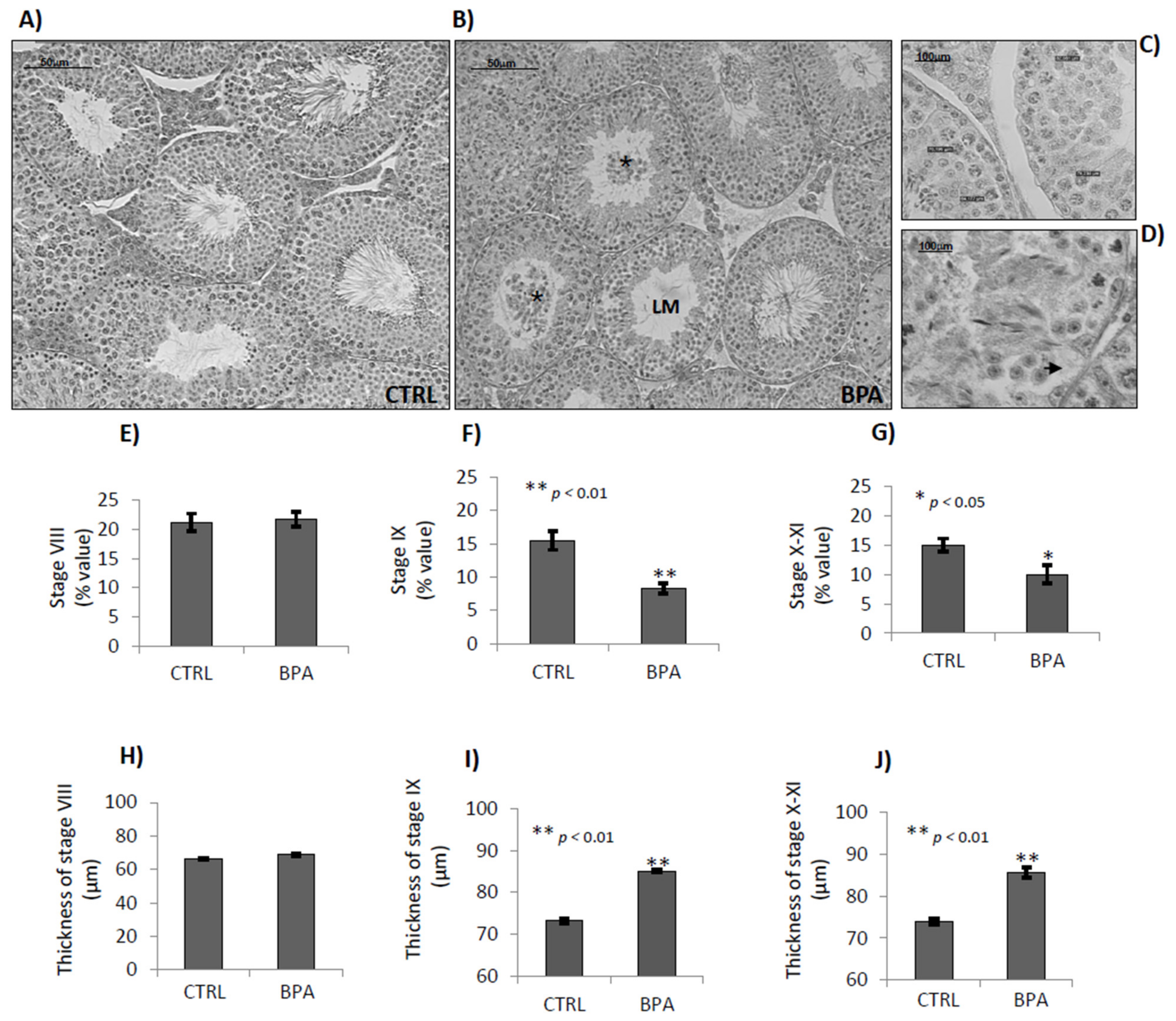 Ijms 22 02540 g006 Ijms 22 02540 g006