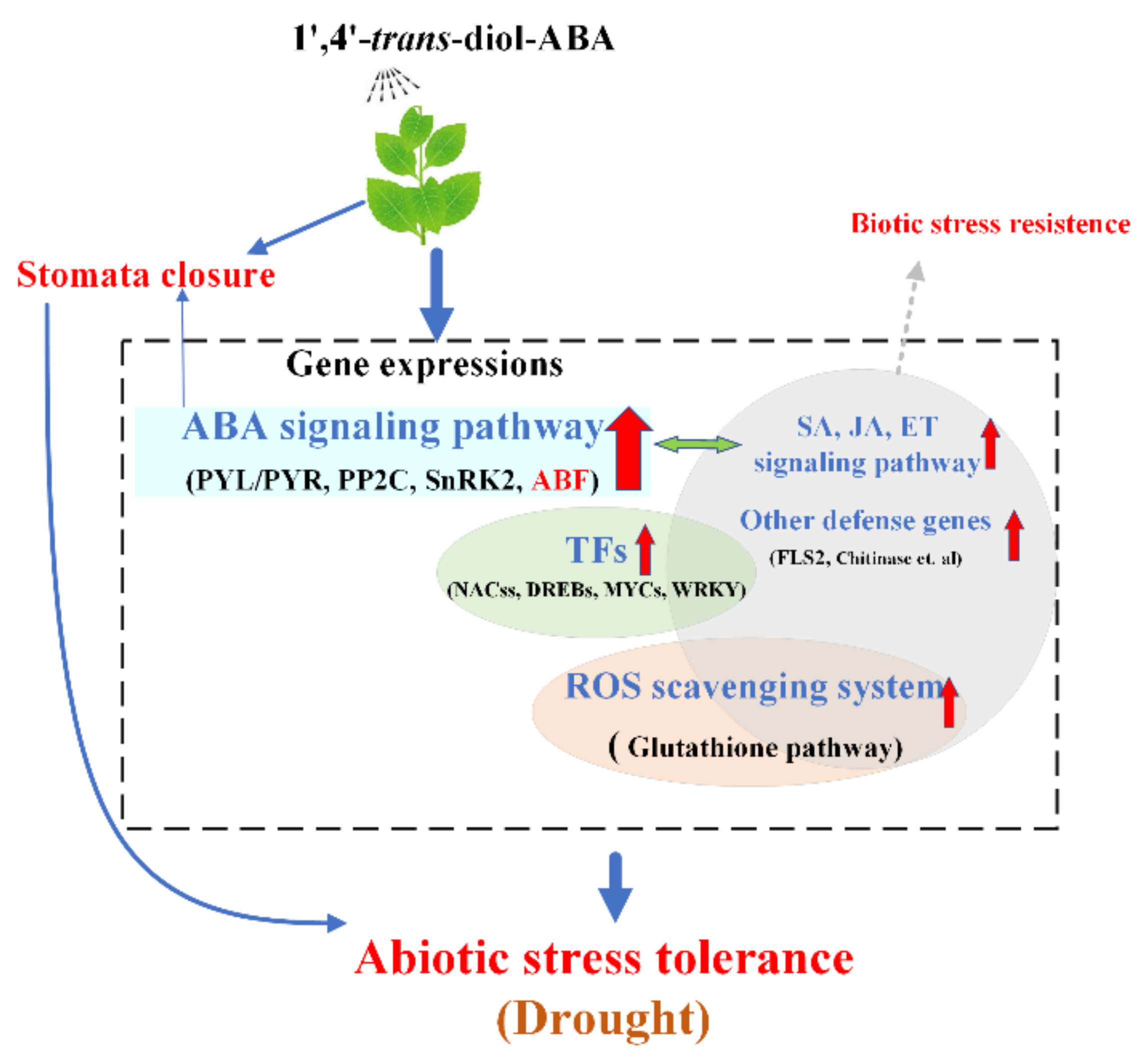 Ijms 22 02555 g010 Ijms 22 02555 g010