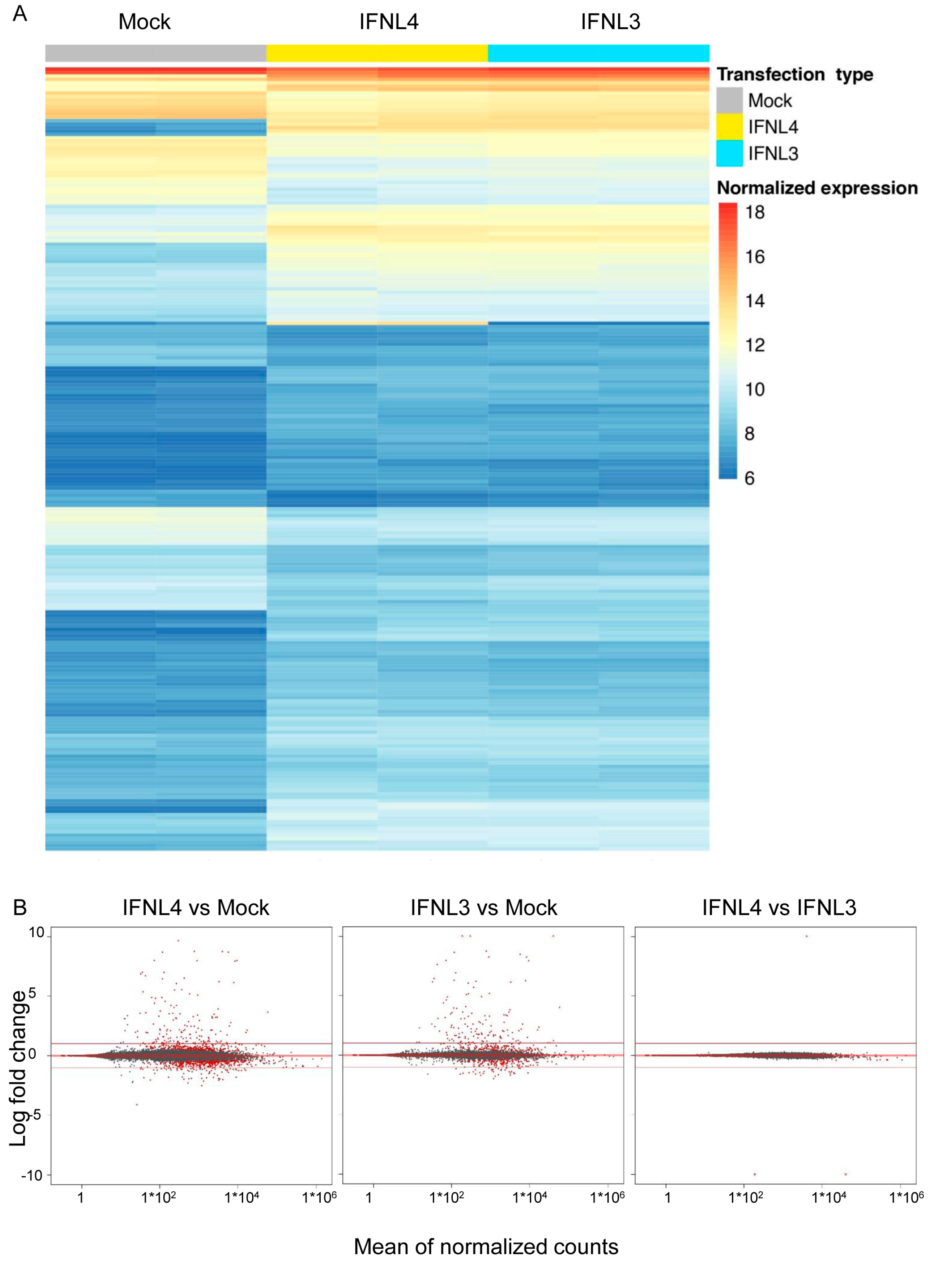 Ijms 22 02560 g004 Ijms 22 02560 g004