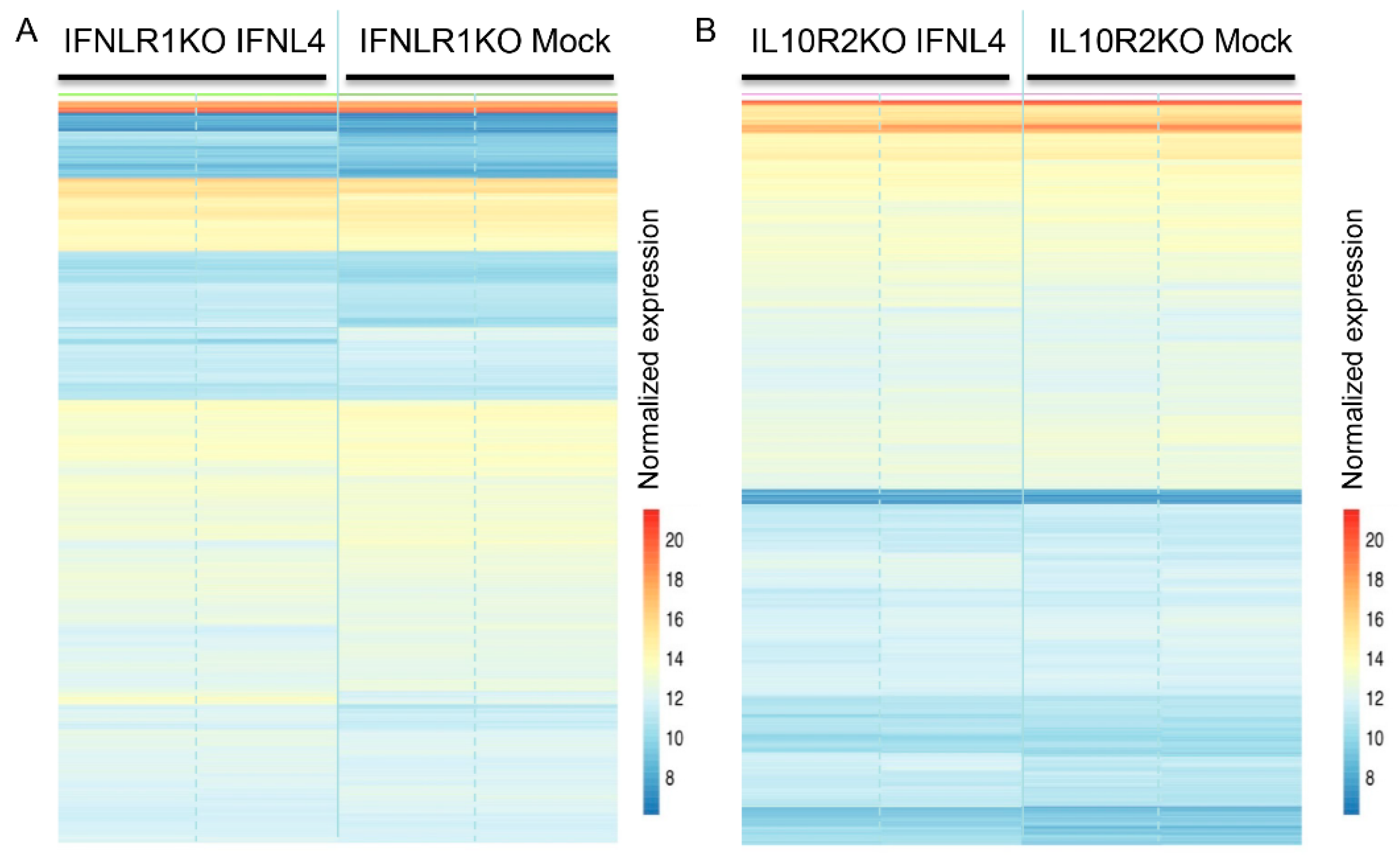 Ijms 22 02560 g007 Ijms 22 02560 g007
