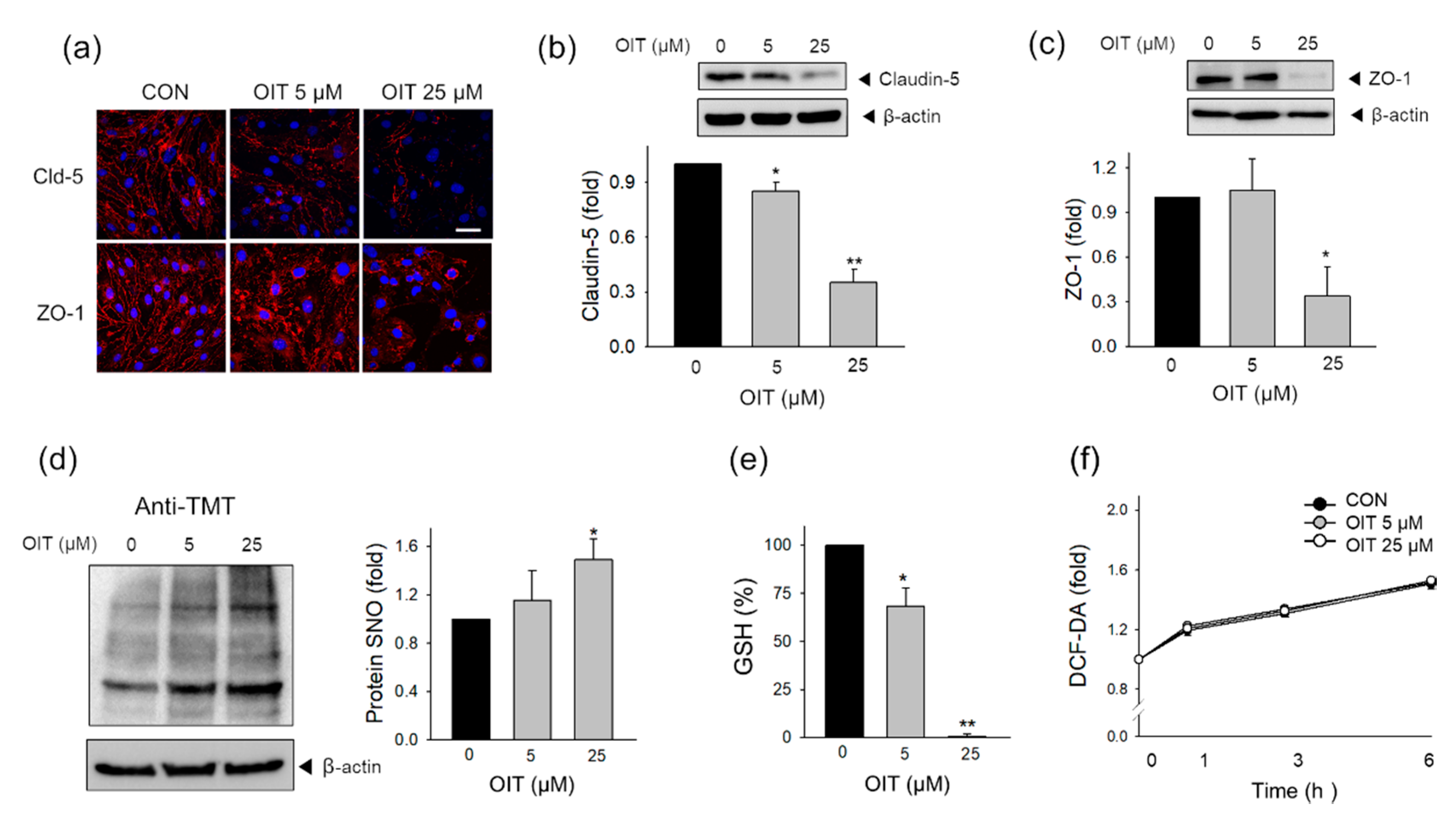 Ijms 22 02563 g002 Ijms 22 02563 g002