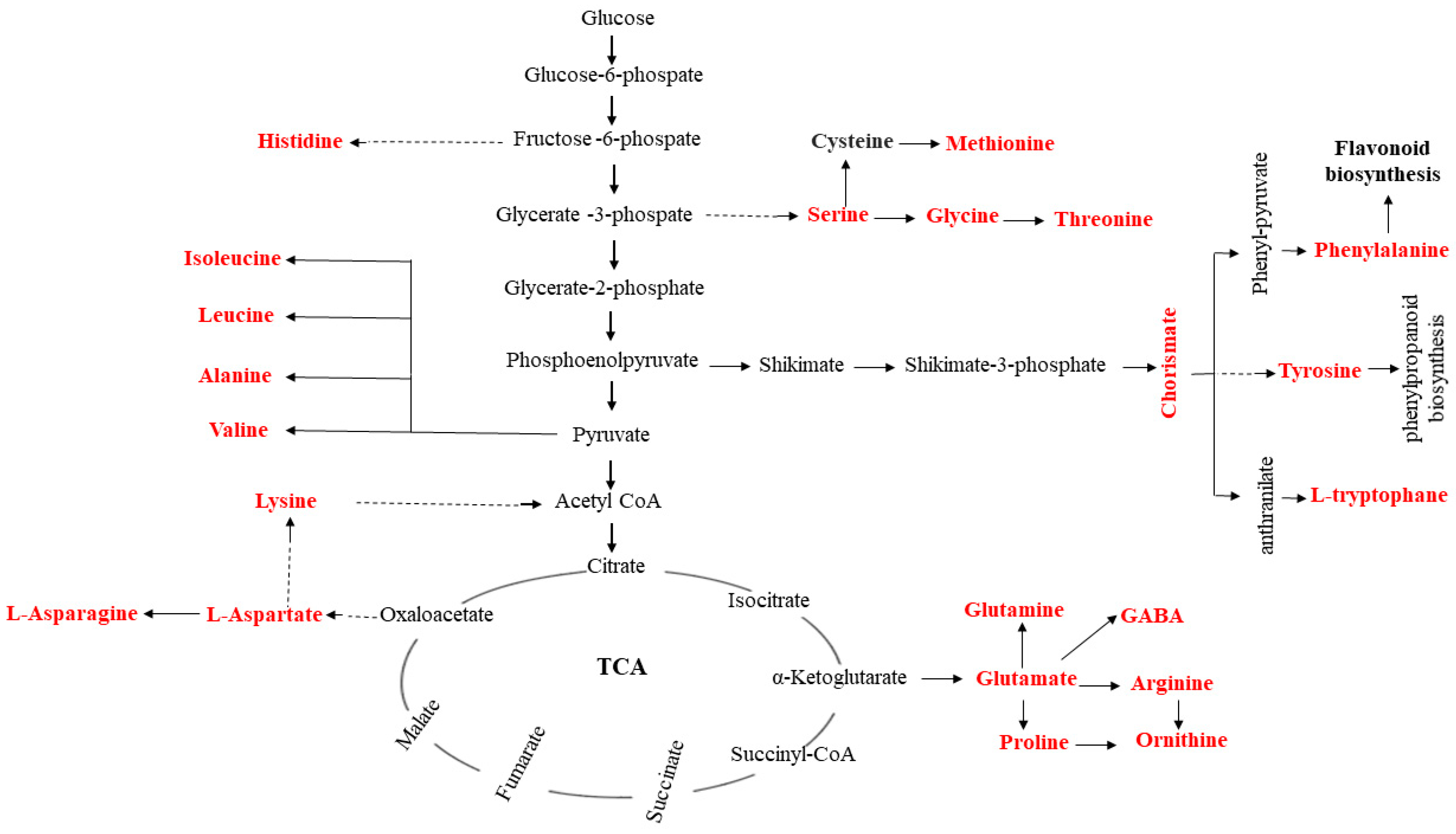 Ijms 22 02564 g003 Ijms 22 02564 g003