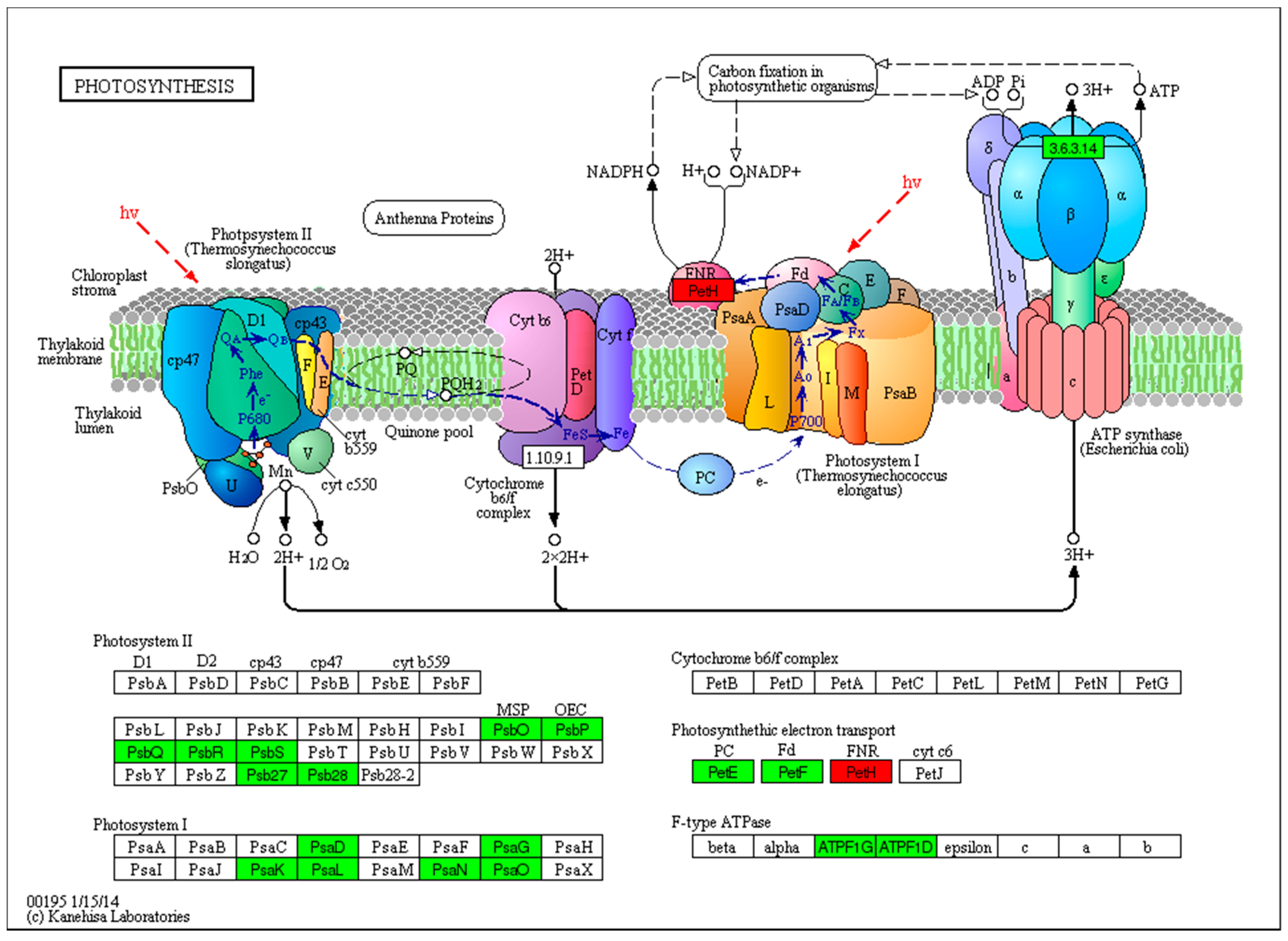 Ijms 22 02564 g007 Ijms 22 02564 g007