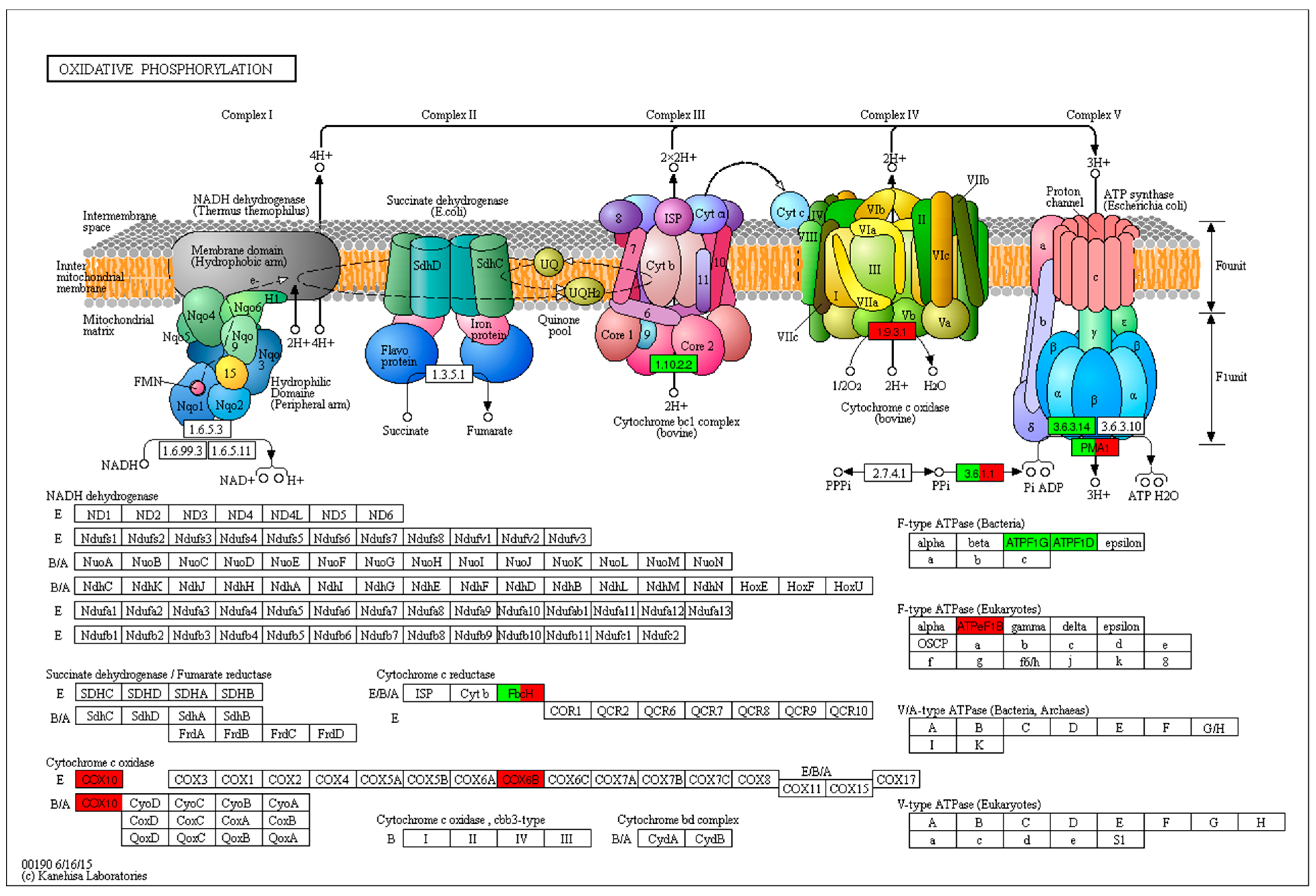 Ijms 22 02564 g008 Ijms 22 02564 g008