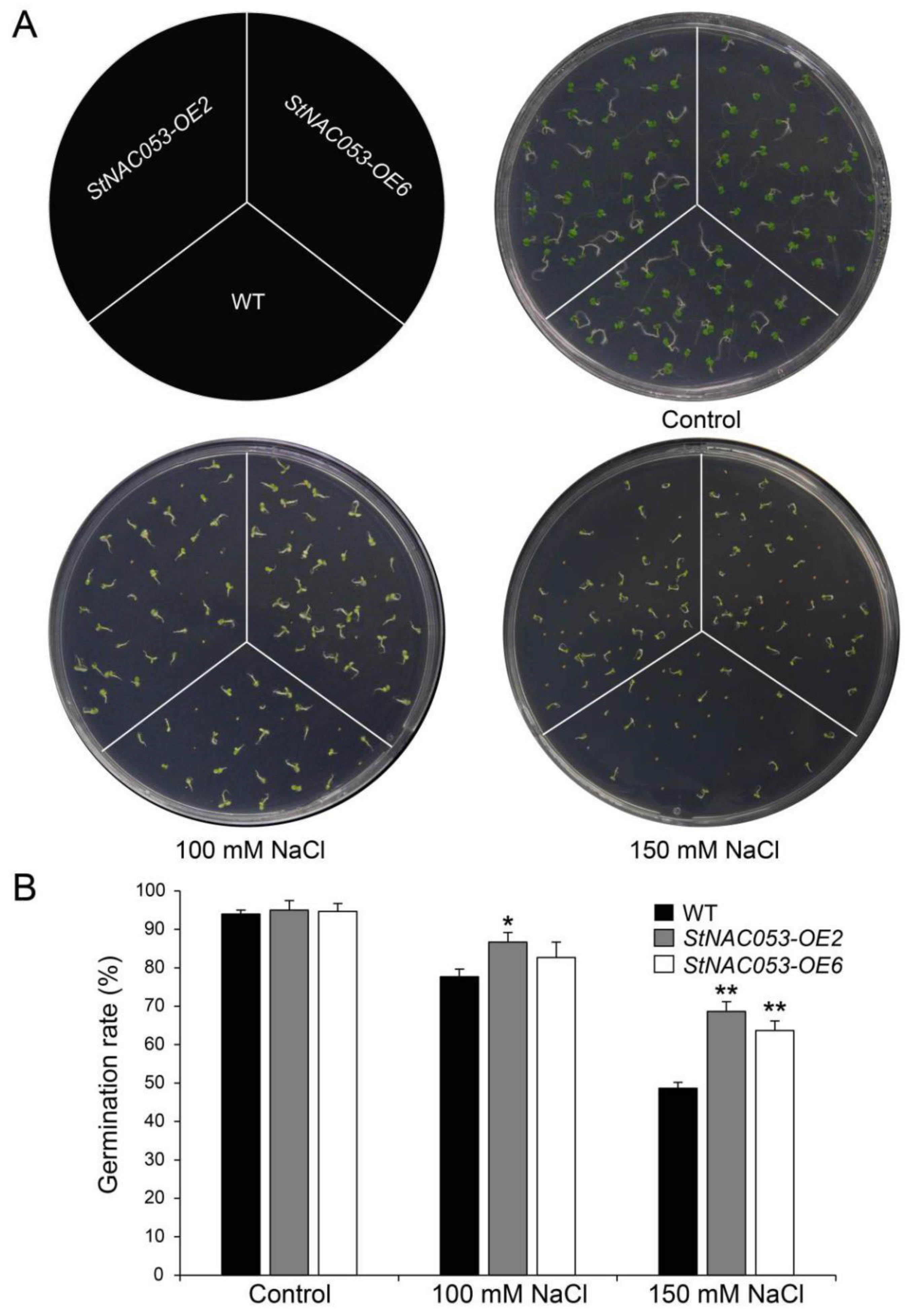 Ijms 22 02568 g007 Ijms 22 02568 g007