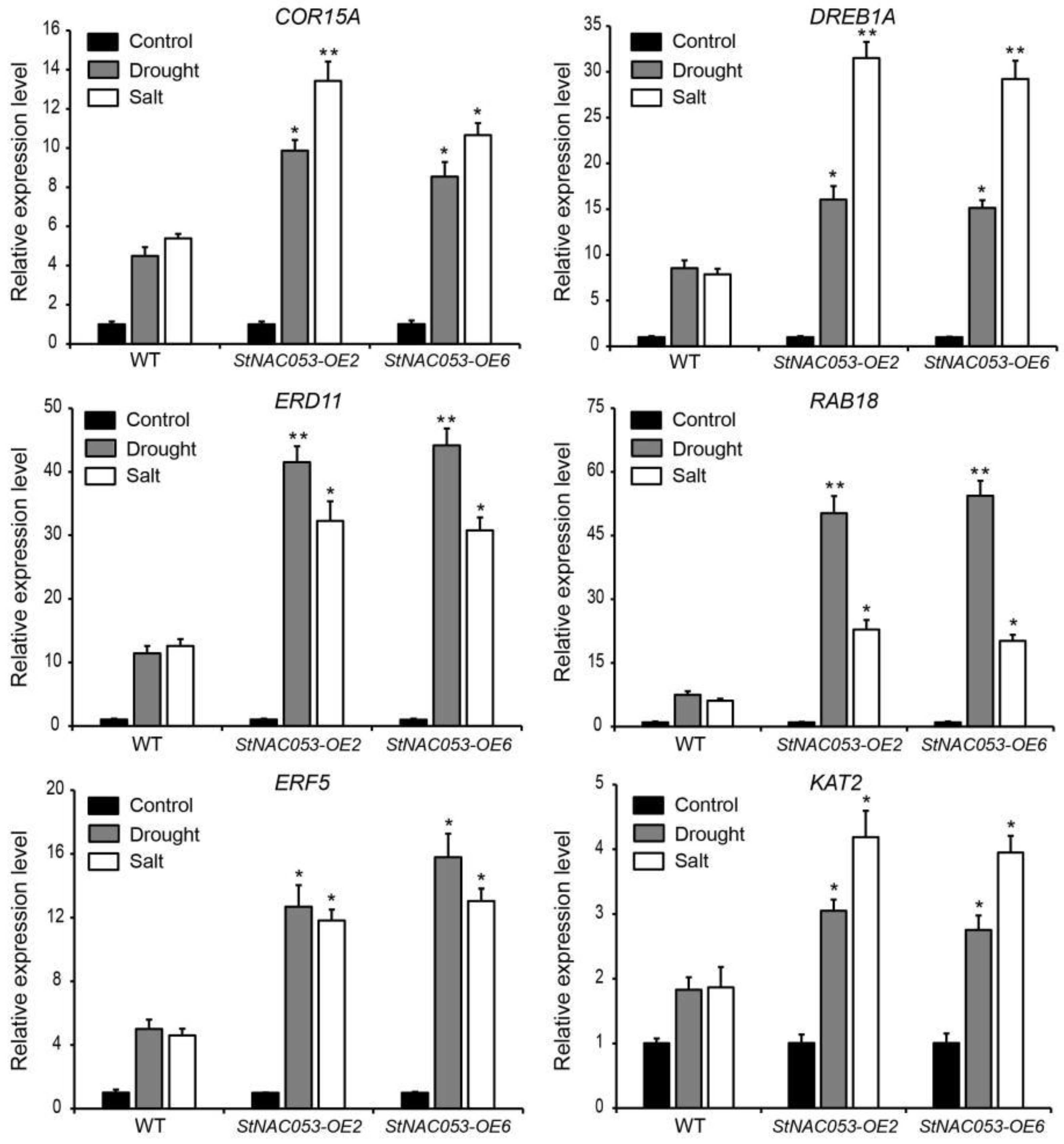 Ijms 22 02568 g011 Ijms 22 02568 g011