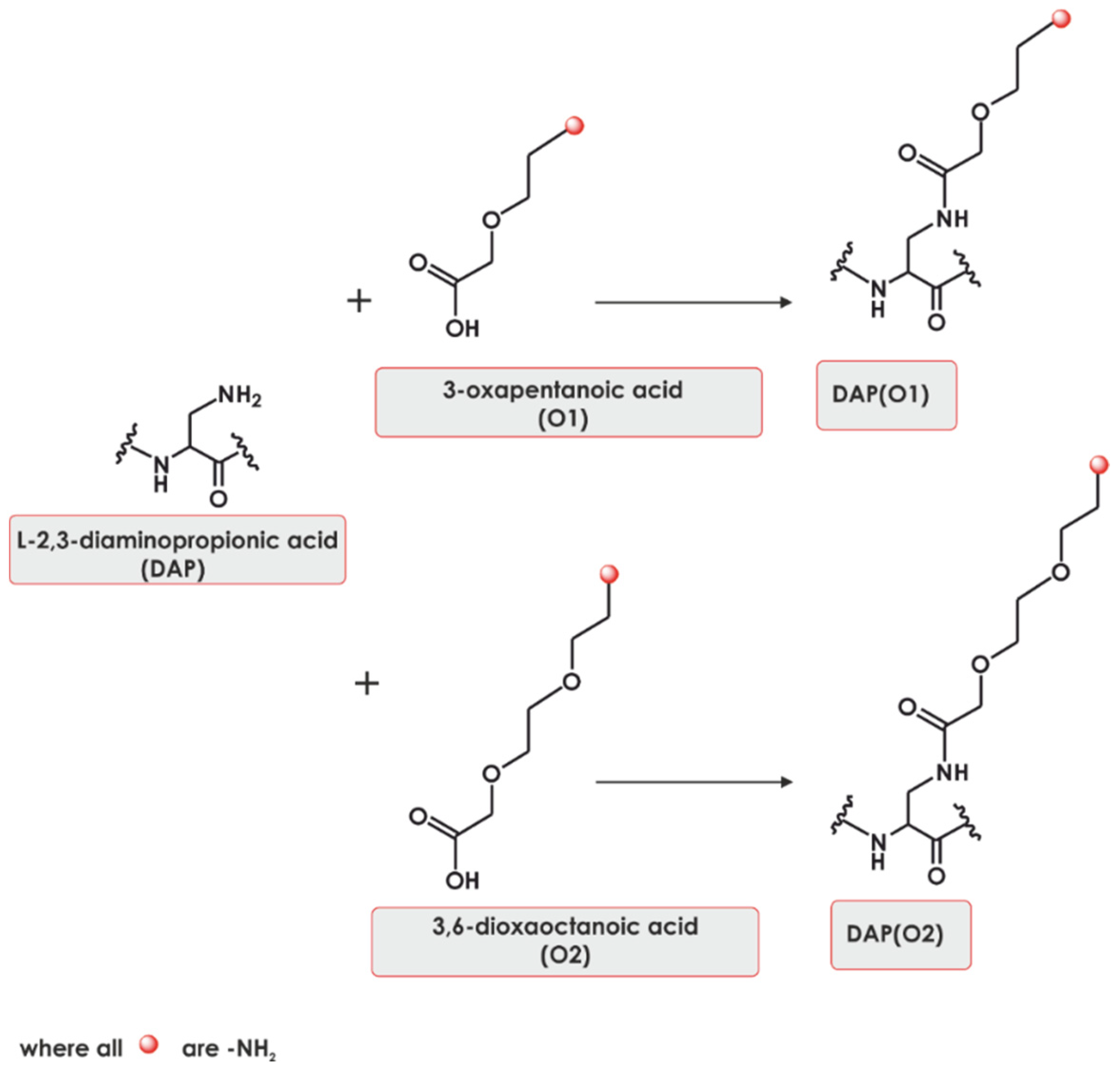 Ijms 22 02571 g001 Ijms 22 02571 g001