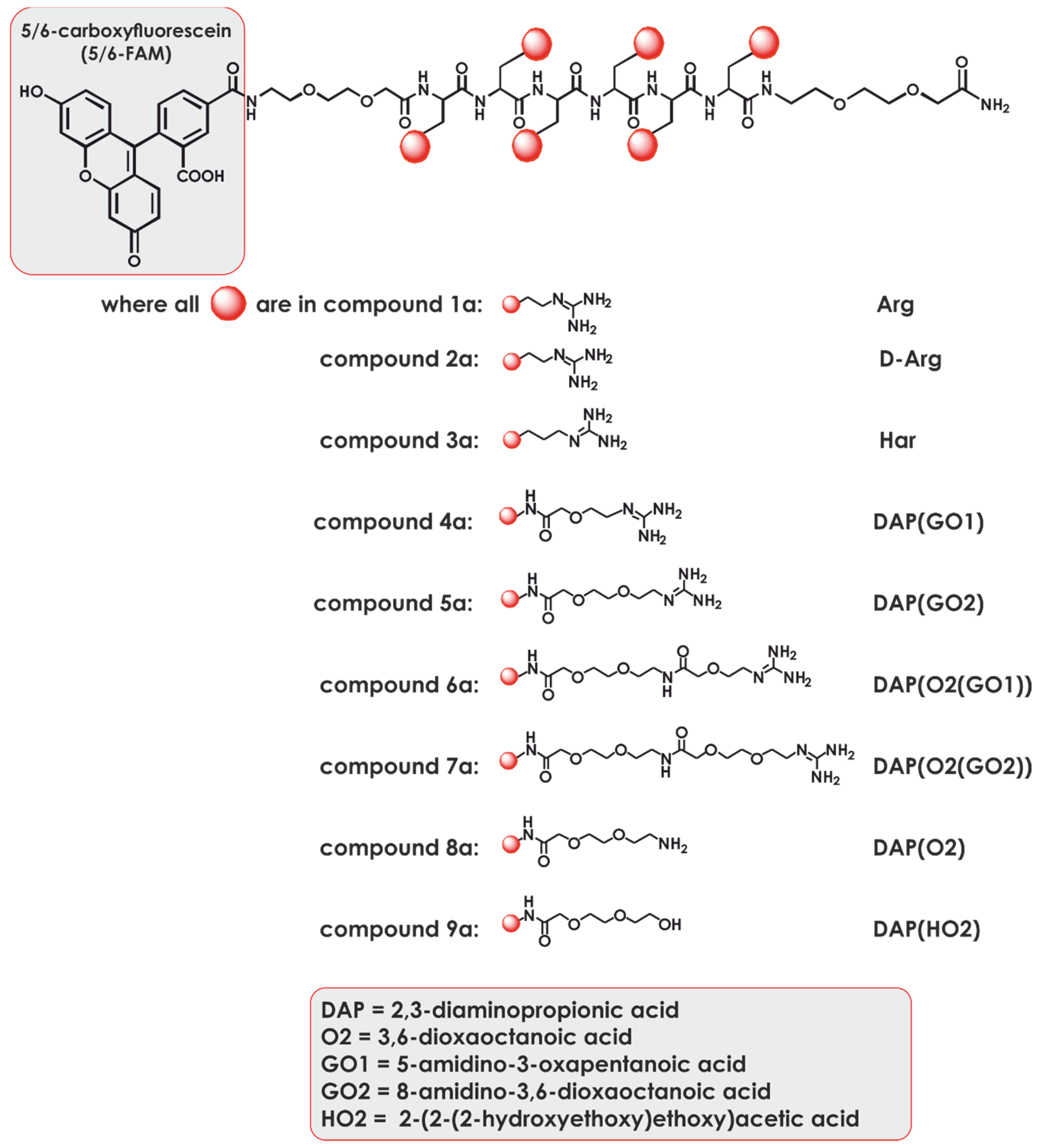 Ijms 22 02571 g002 Ijms 22 02571 g002