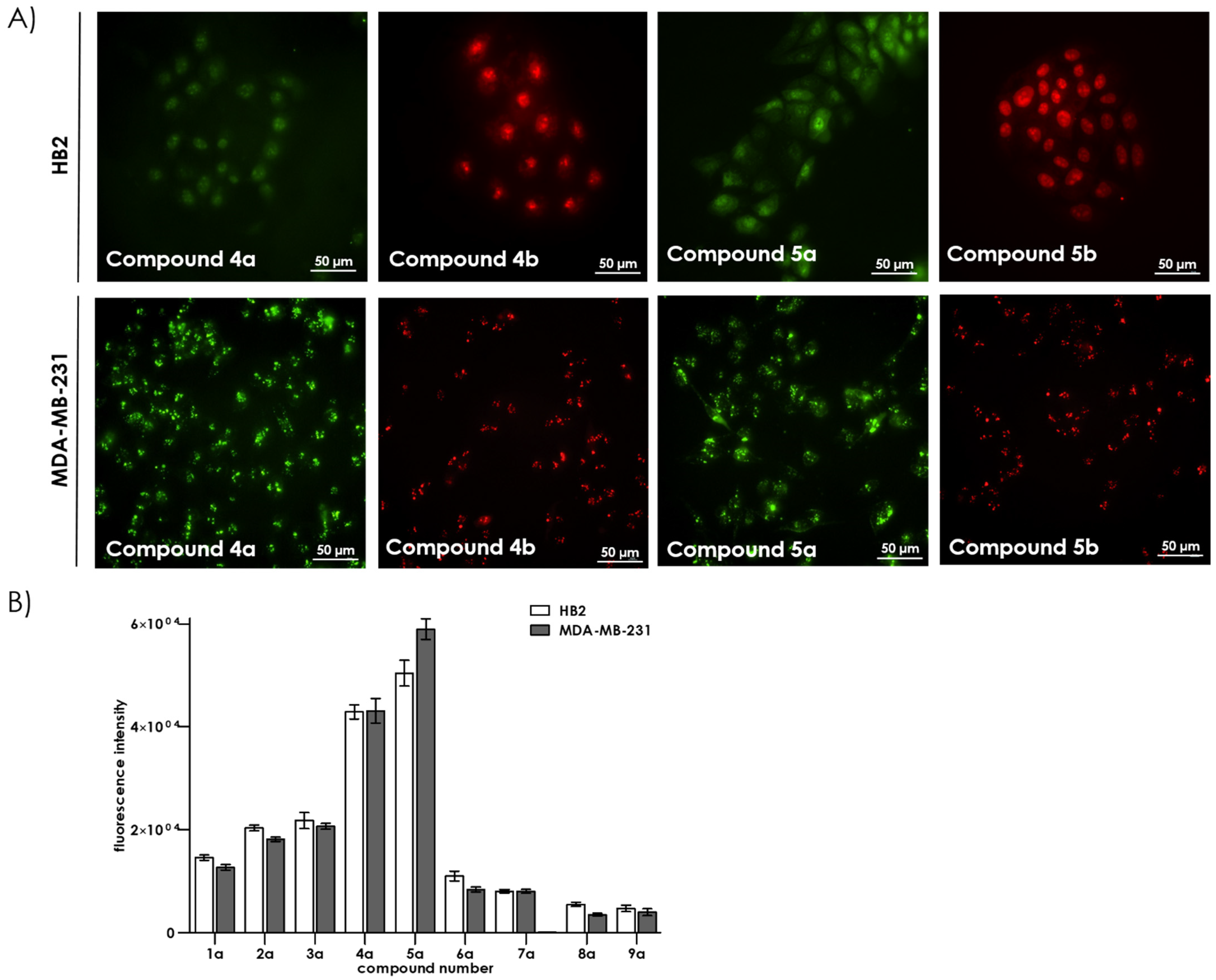 Ijms 22 02571 g003 Ijms 22 02571 g003