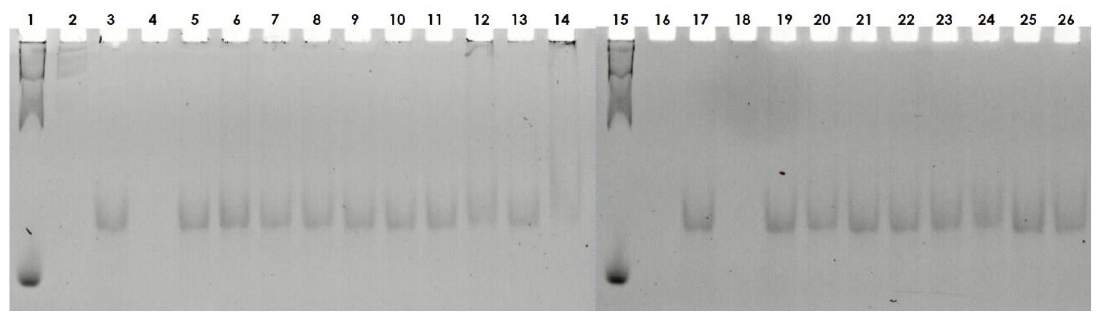 Ijms 22 02571 g006 Ijms 22 02571 g006