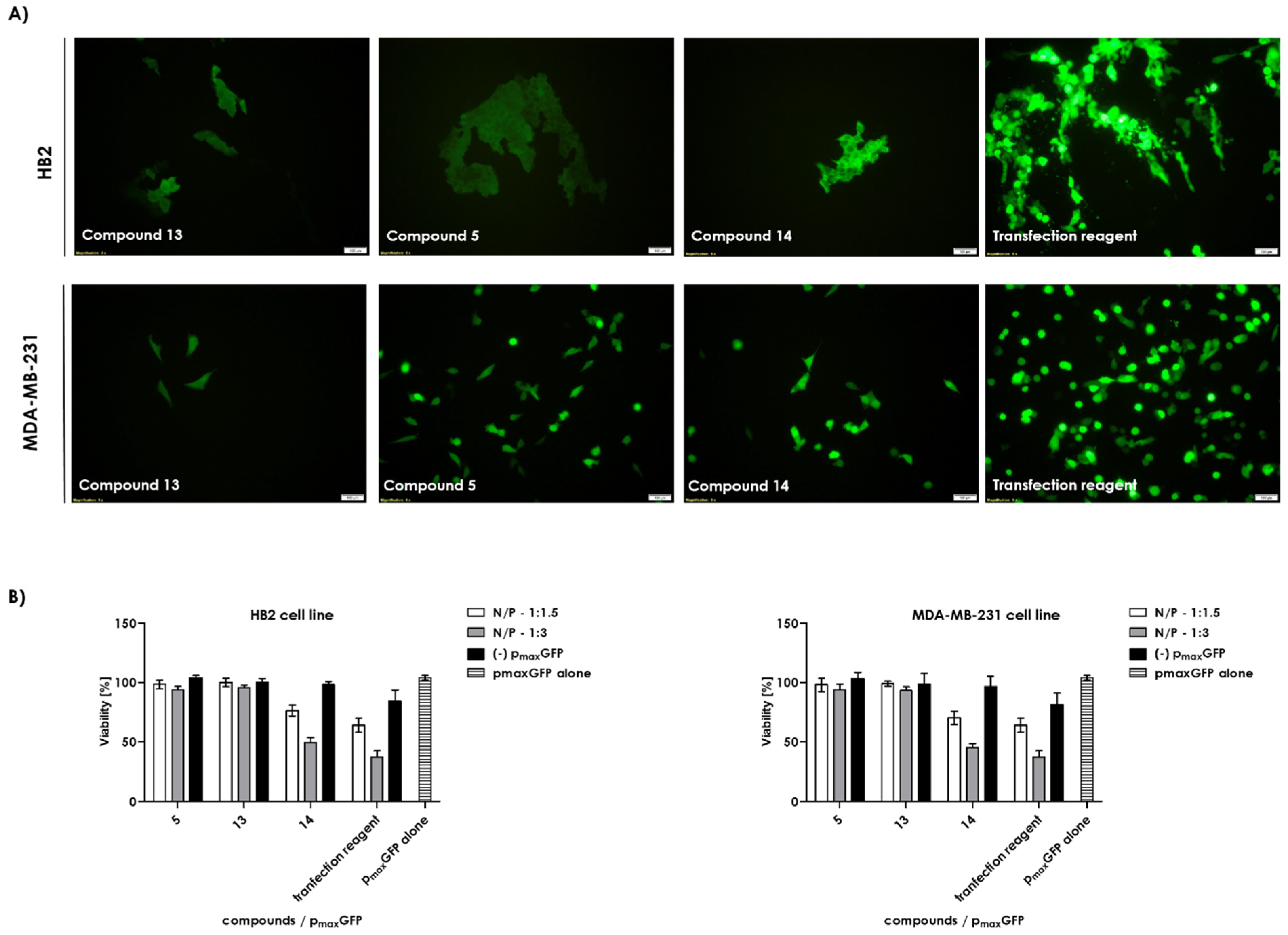 Ijms 22 02571 g010 Ijms 22 02571 g010