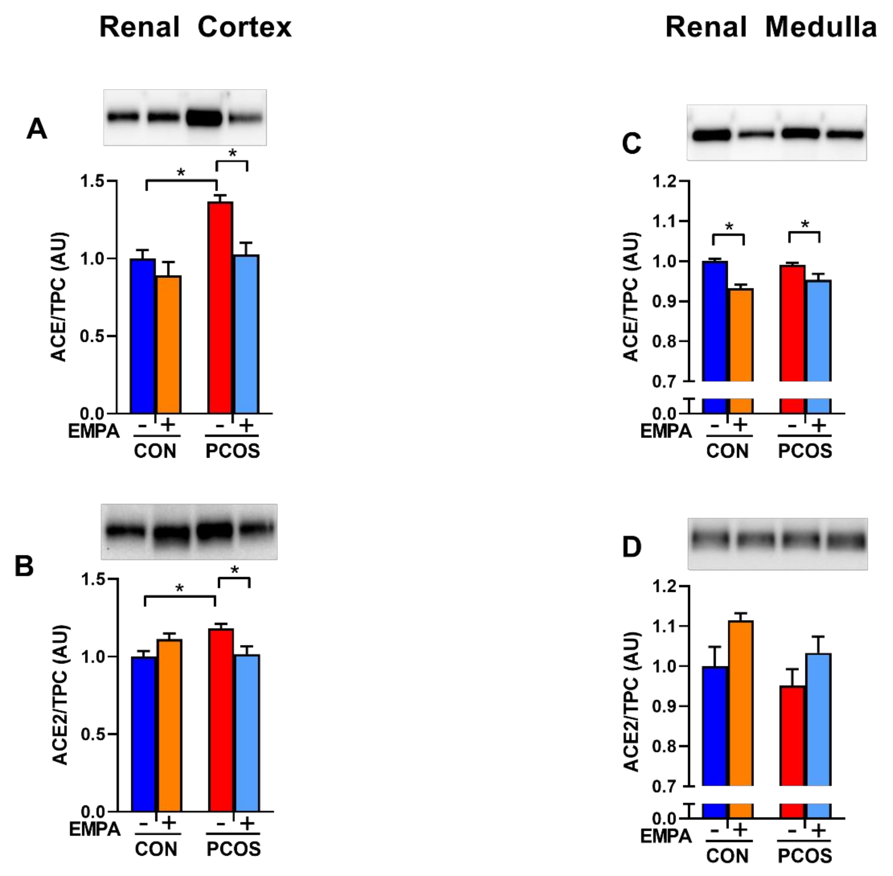Ijms 22 02576 g007 Ijms 22 02576 g007