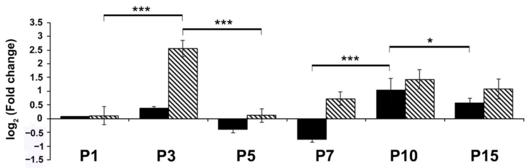 Ijms 22 02577 g002 Ijms 22 02577 g002