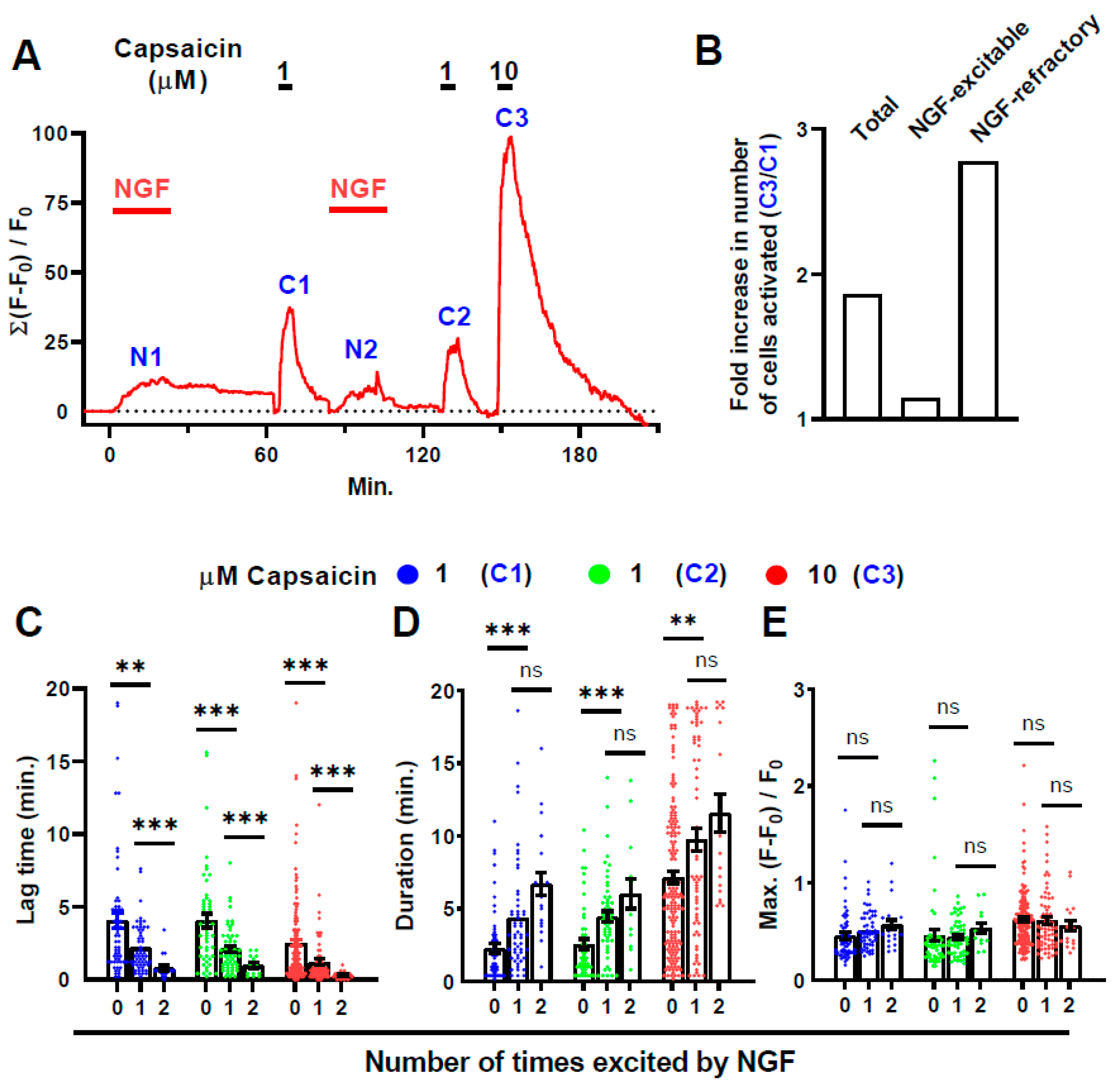 Ijms 22 02589 g006 Ijms 22 02589 g006