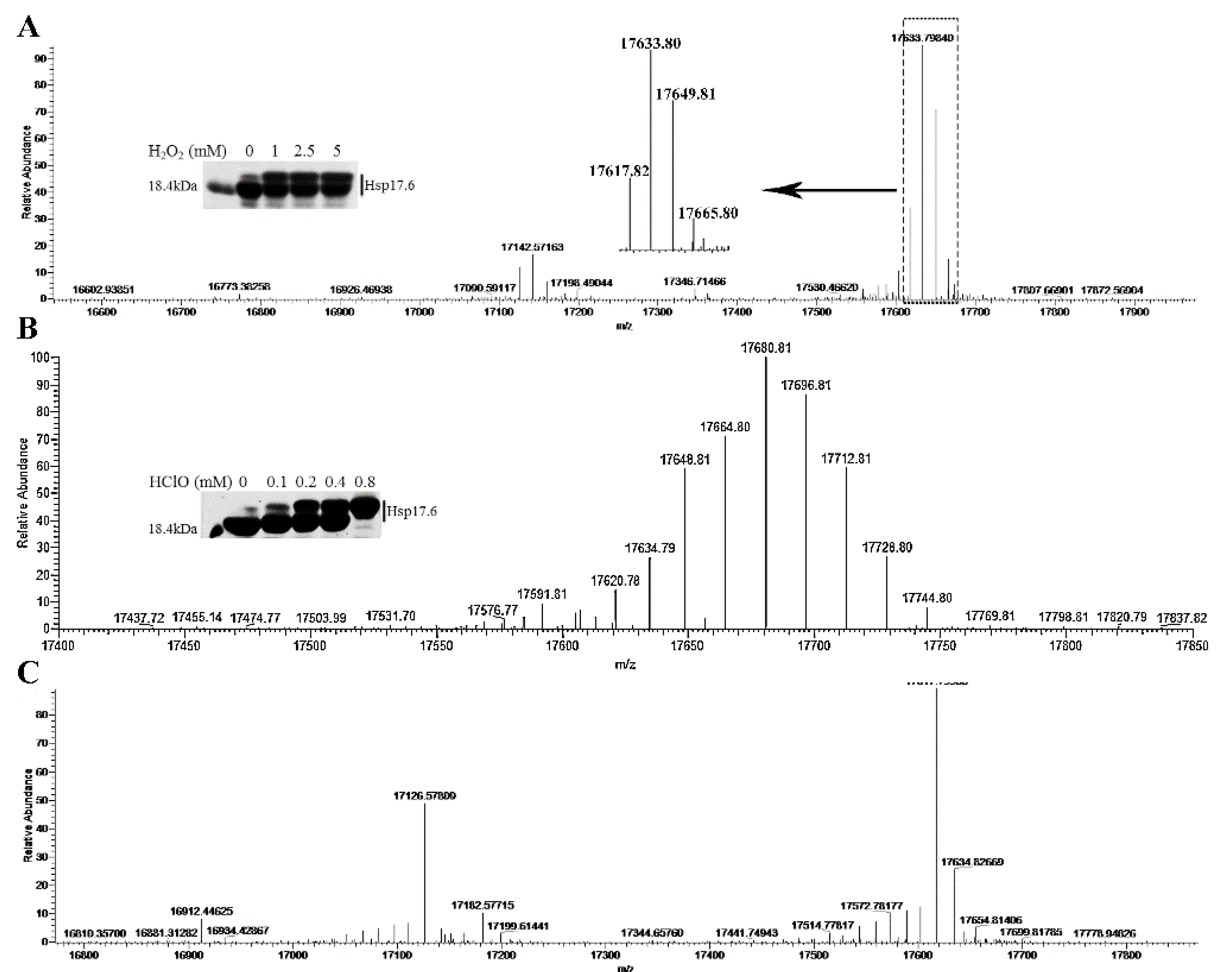 Ijms 22 02591 g004 Ijms 22 02591 g004