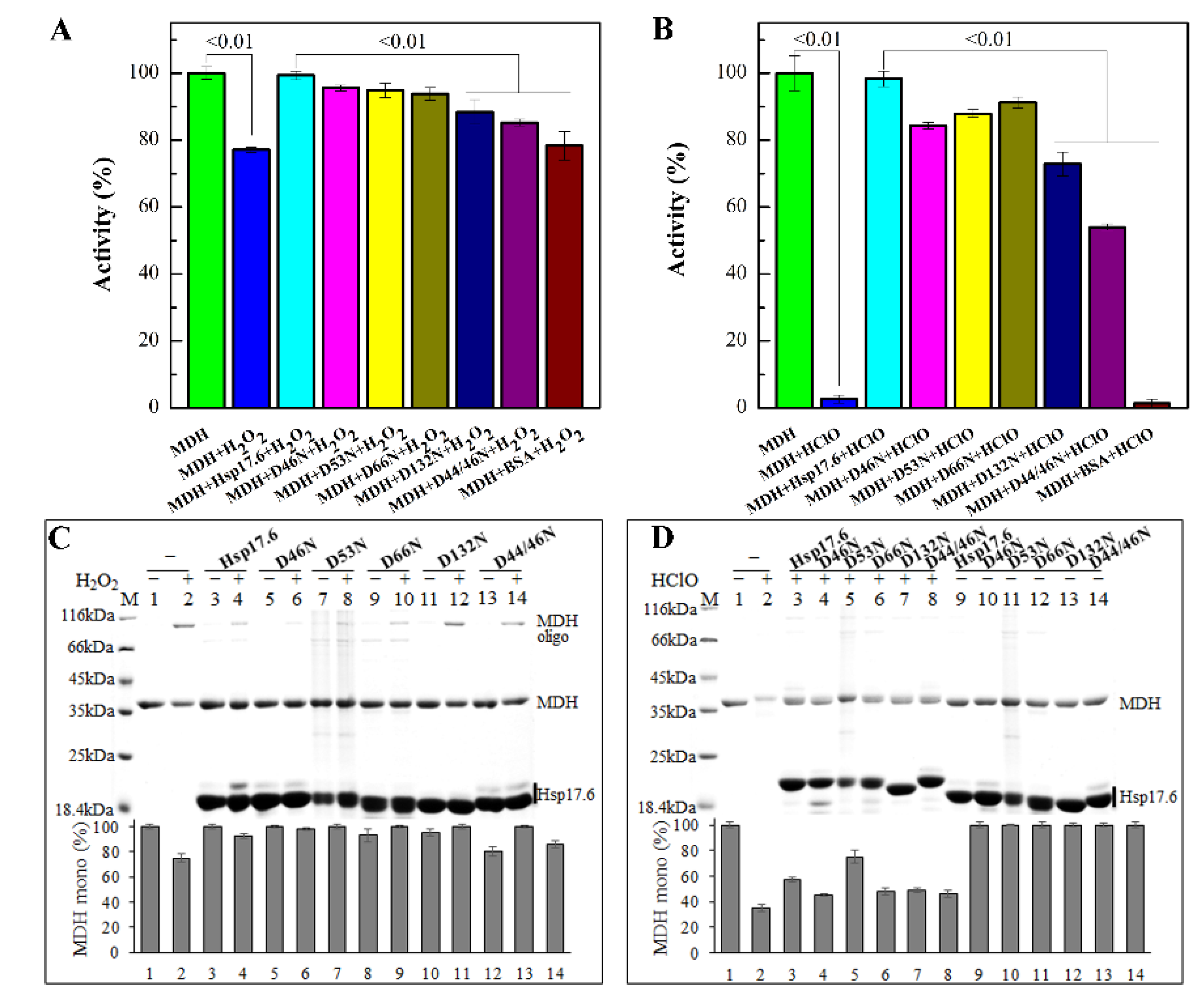 Ijms 22 02591 g005 Ijms 22 02591 g005