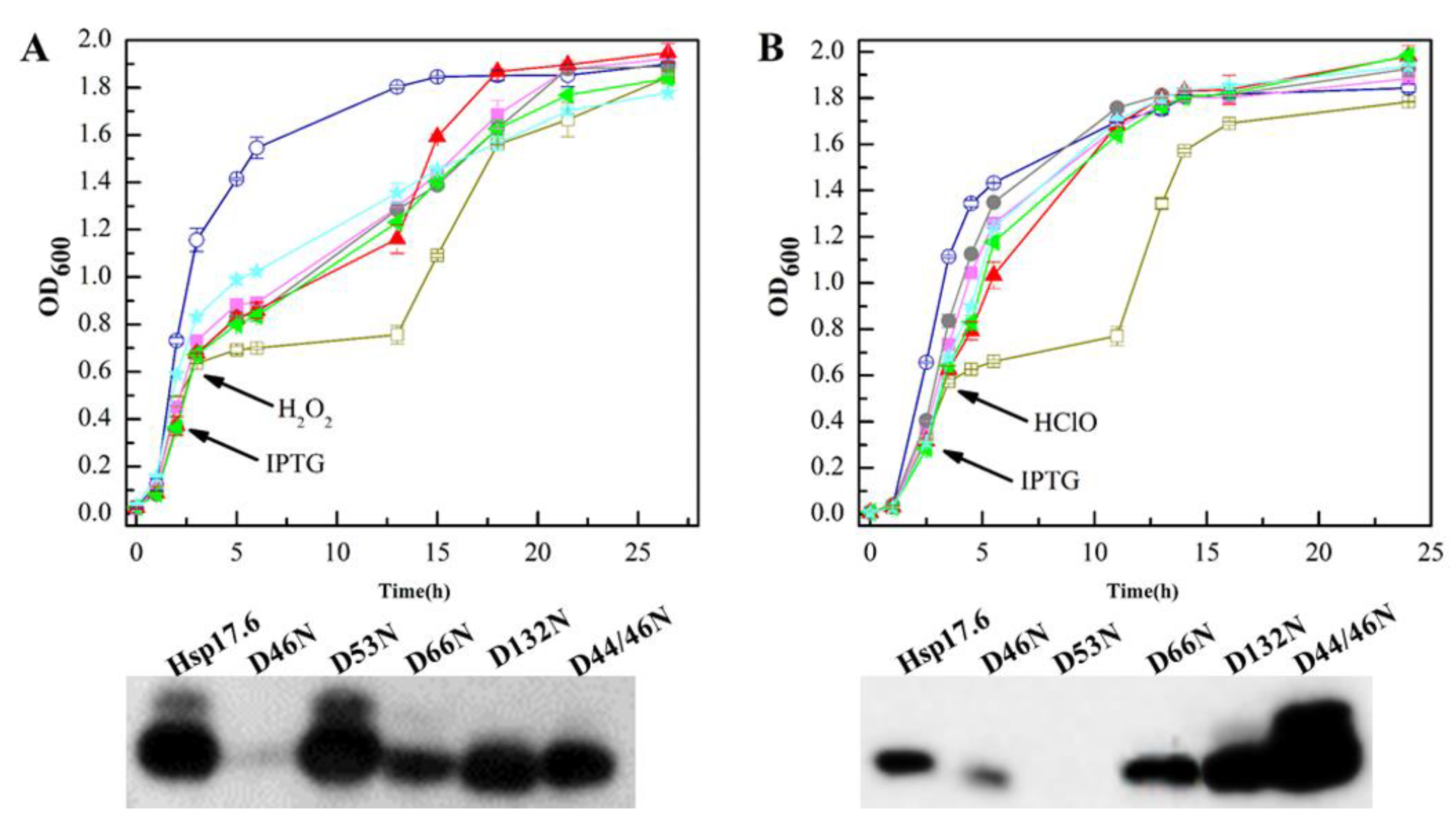 Ijms 22 02591 g006 Ijms 22 02591 g006
