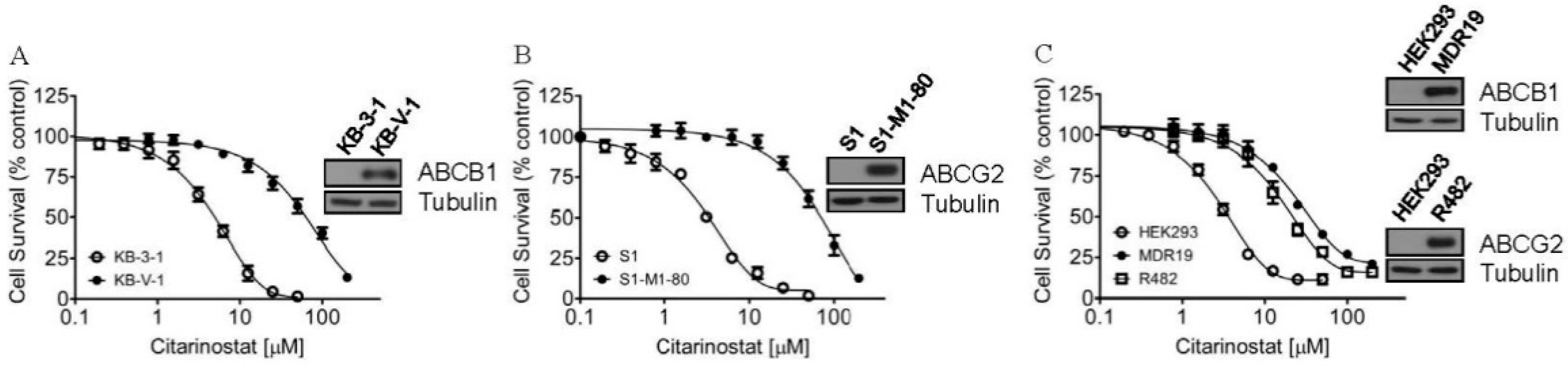 Ijms 22 02592 g001 Ijms 22 02592 g001