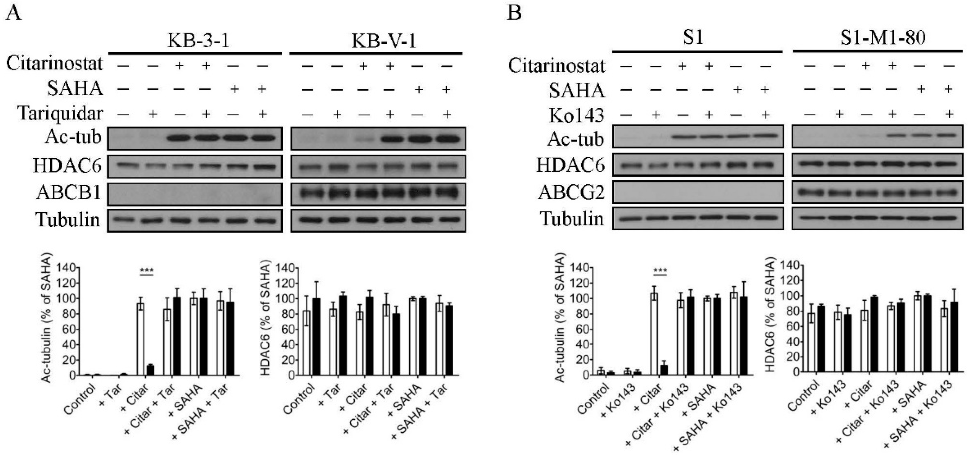 Ijms 22 02592 g002 Ijms 22 02592 g002