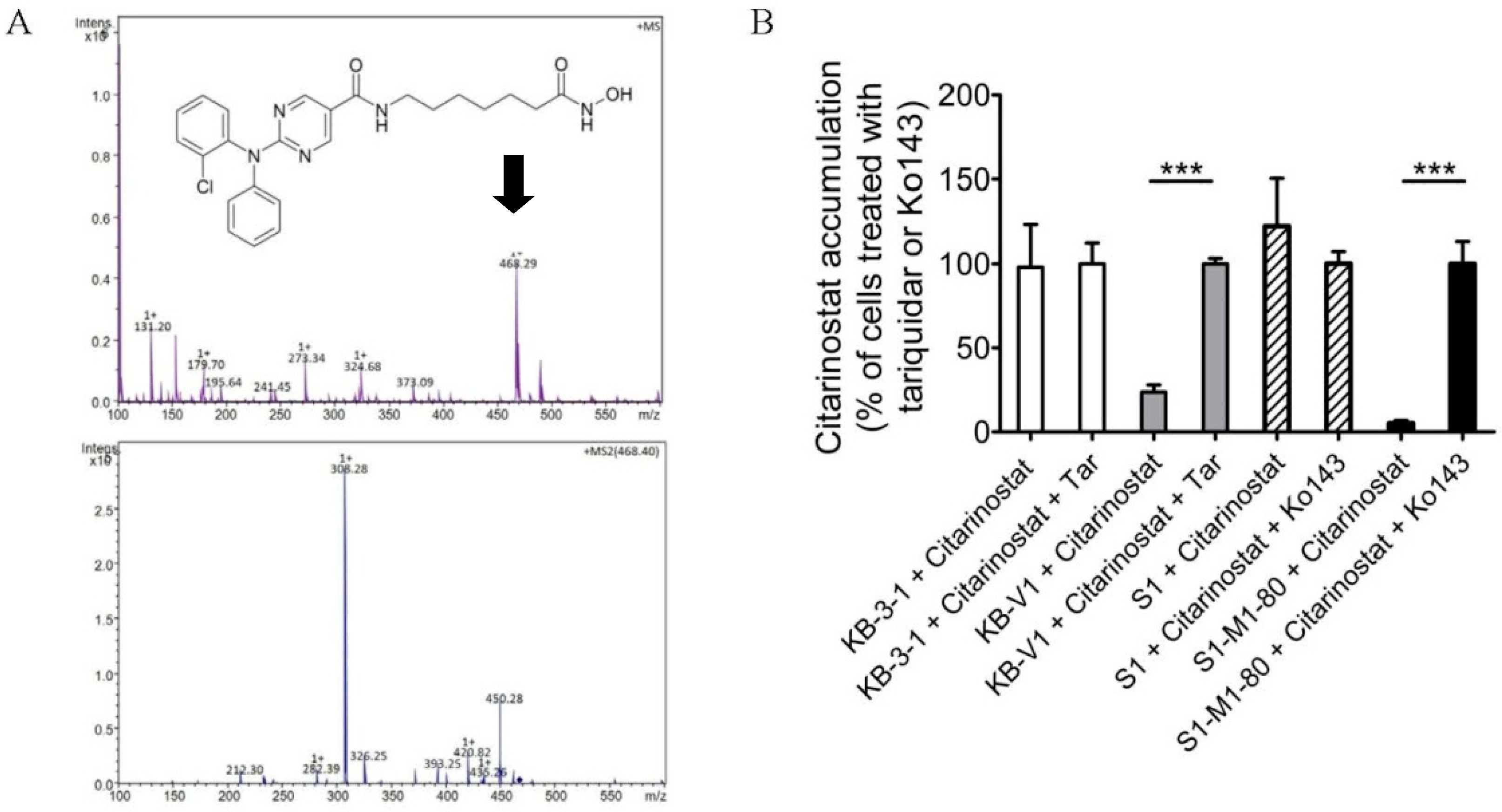 Ijms 22 02592 g004 Ijms 22 02592 g004