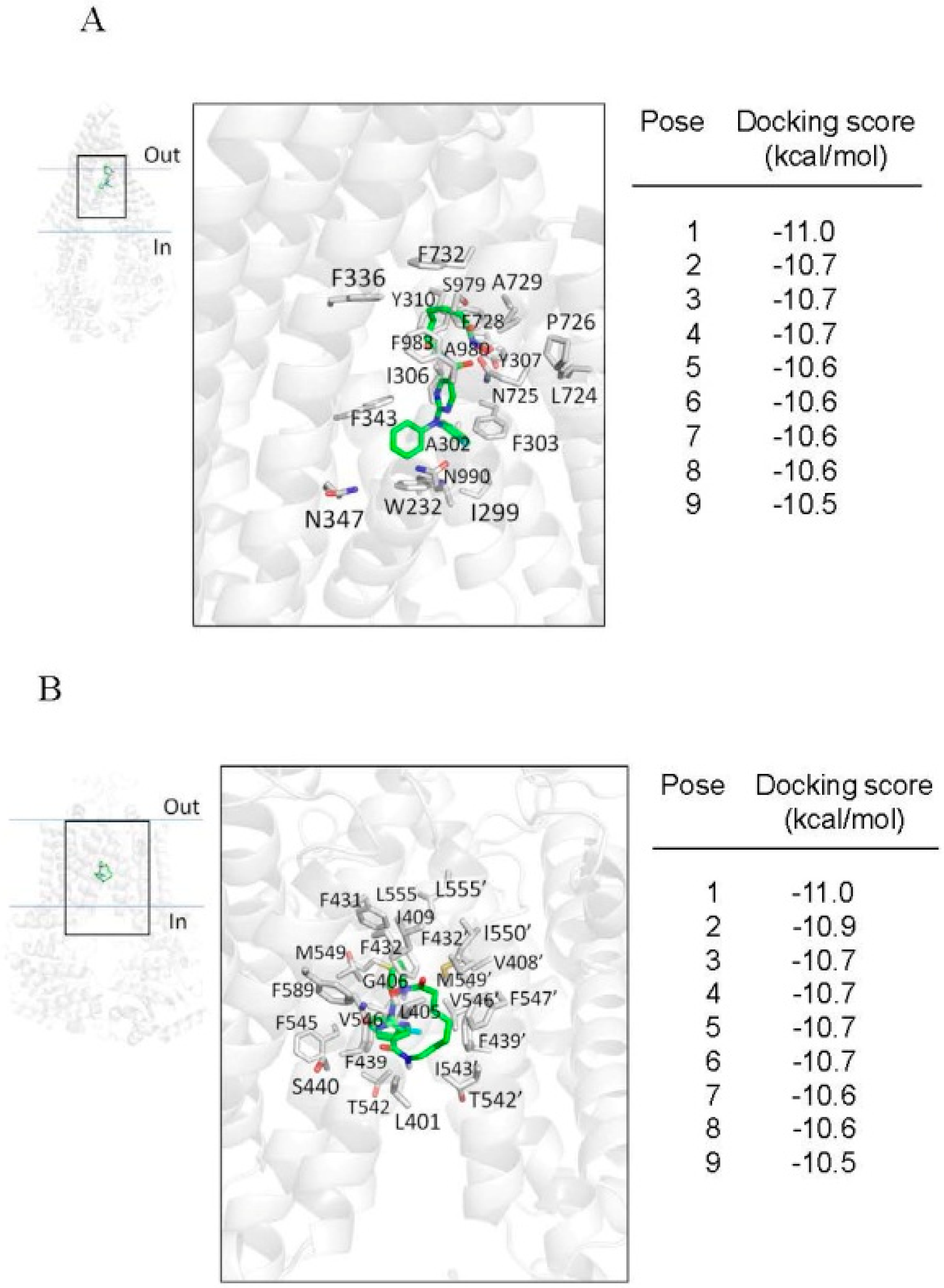 Ijms 22 02592 g005 Ijms 22 02592 g005