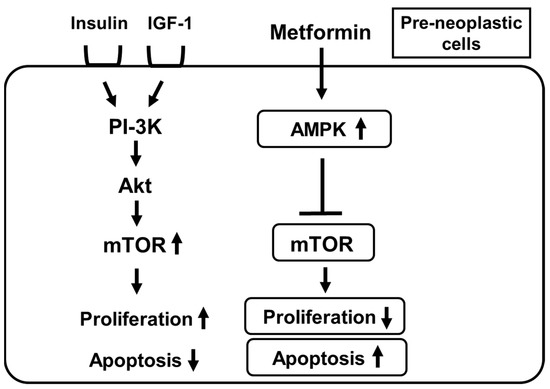 Ijms 22 02596 g003 550