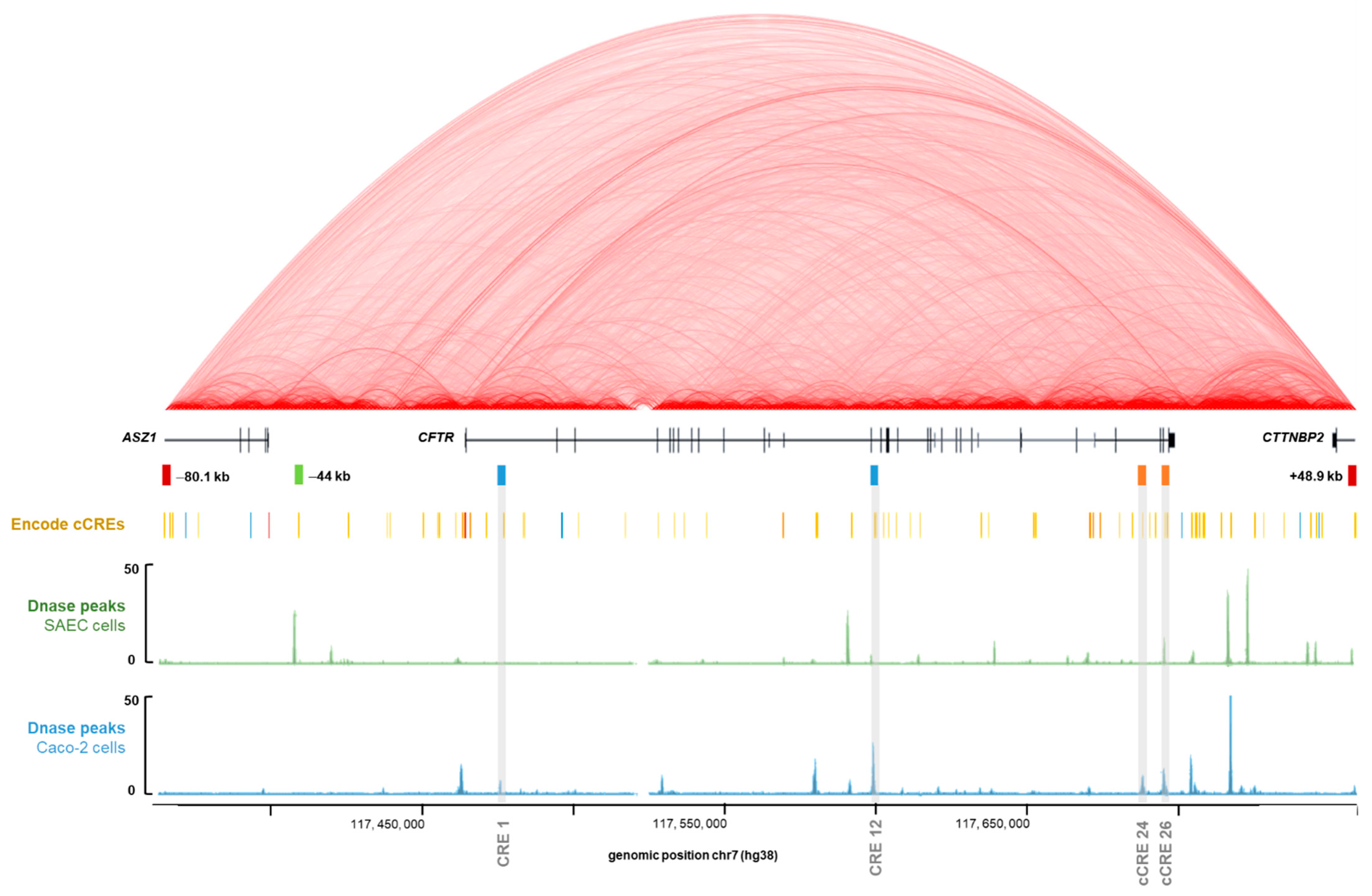 Ijms 22 02599 g002 Ijms 22 02599 g002