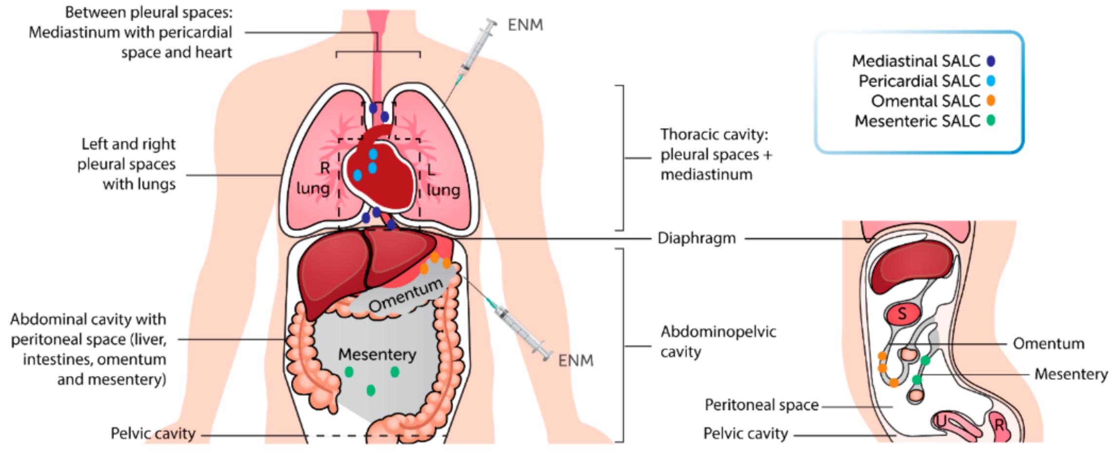 A) Dados; B) Peões. A B  Download Scientific Diagram