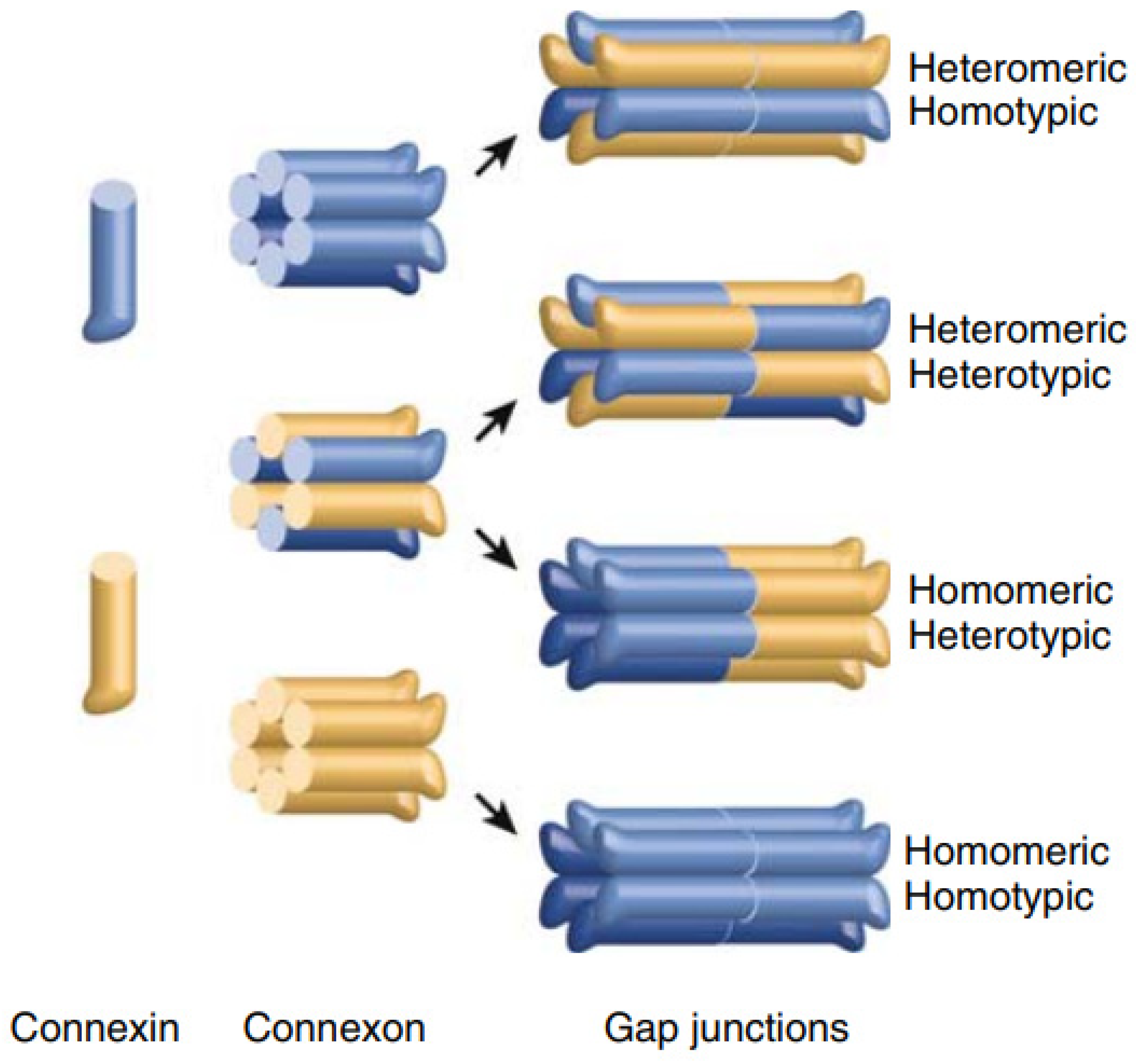 Ijms 22 02615 g004 Ijms 22 02615 g004