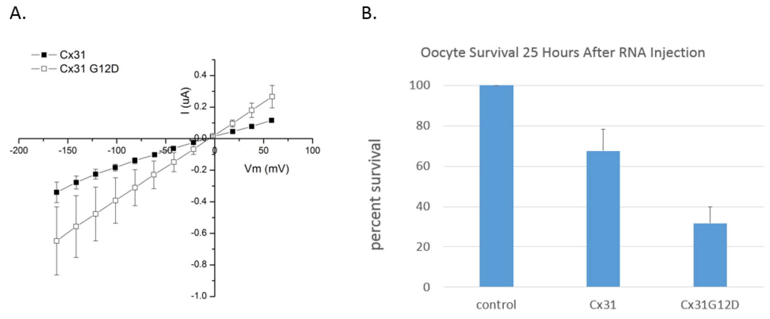 Ijms 22 02615 g005 Ijms 22 02615 g005