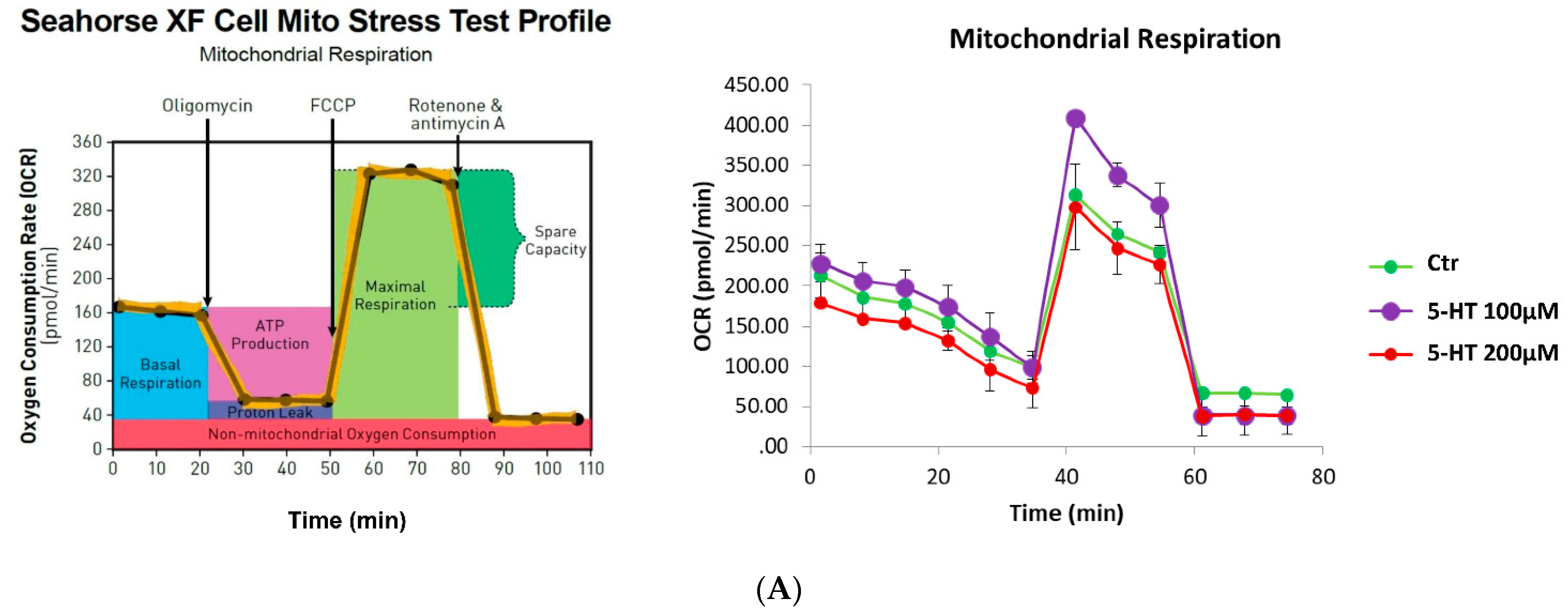 Ijms 22 02621 g007a Ijms 22 02621 g007a