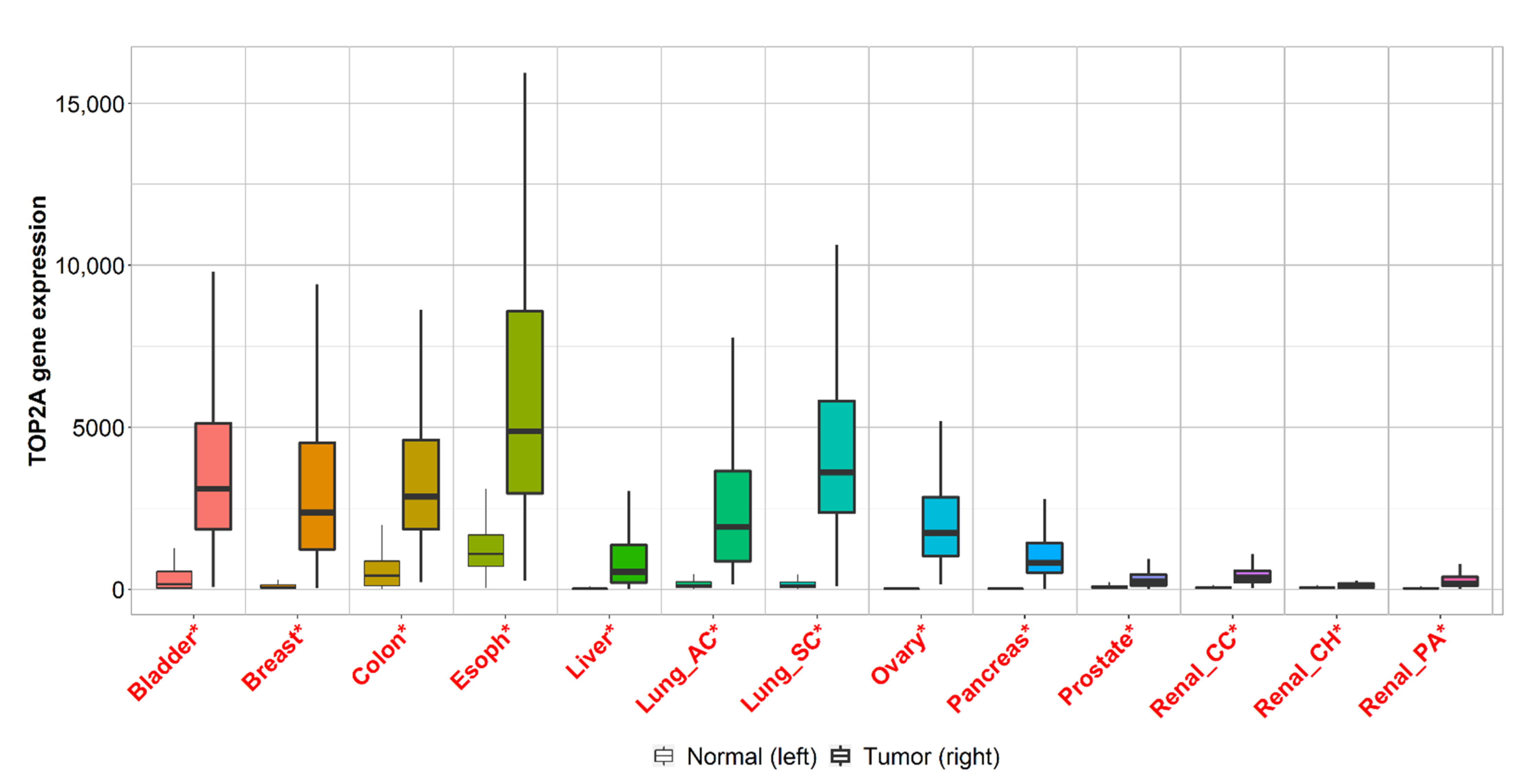 IJMS Free FullText A  Tool for the Comparison of