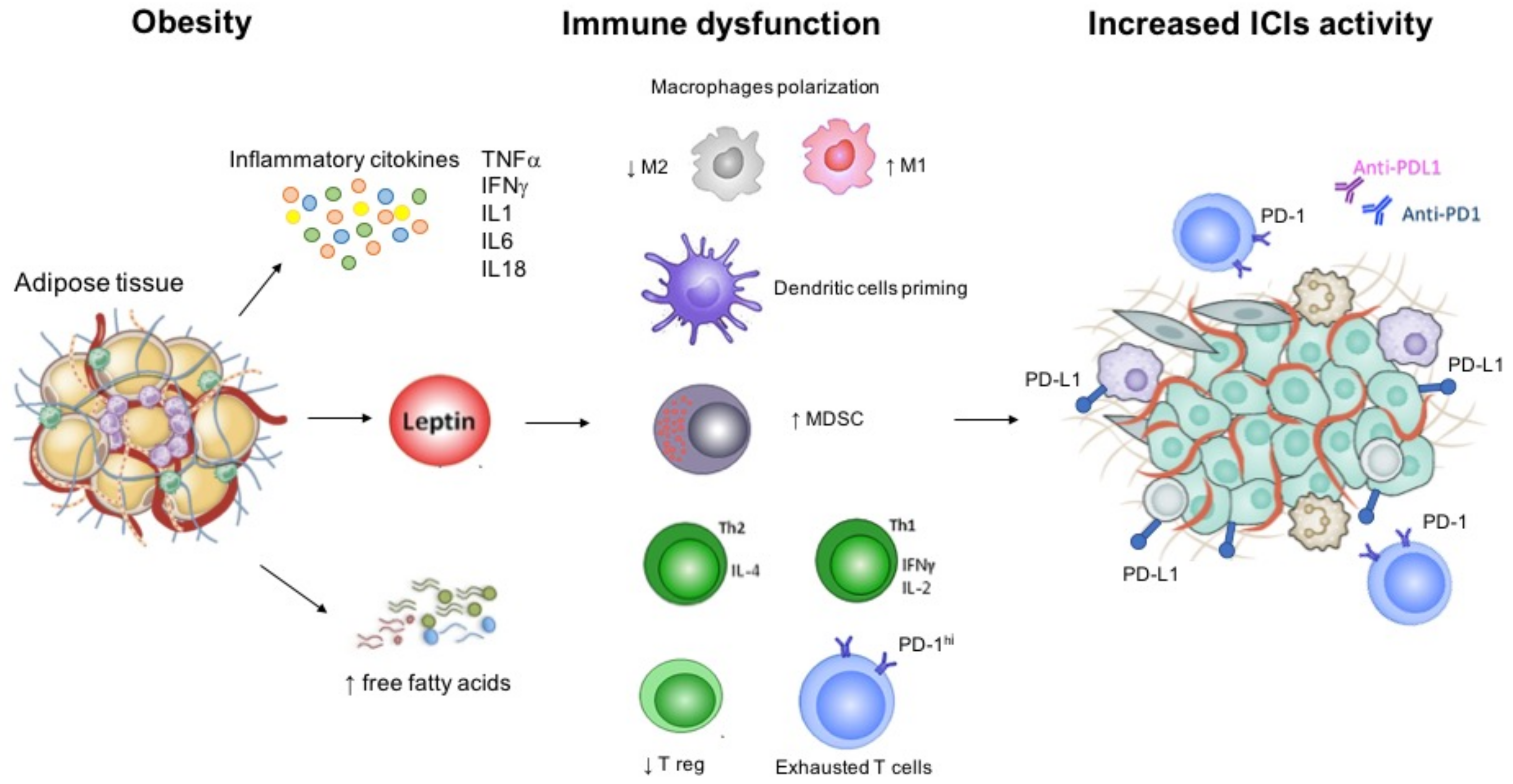 Ijms 22 02628 g001 Ijms 22 02628 g001