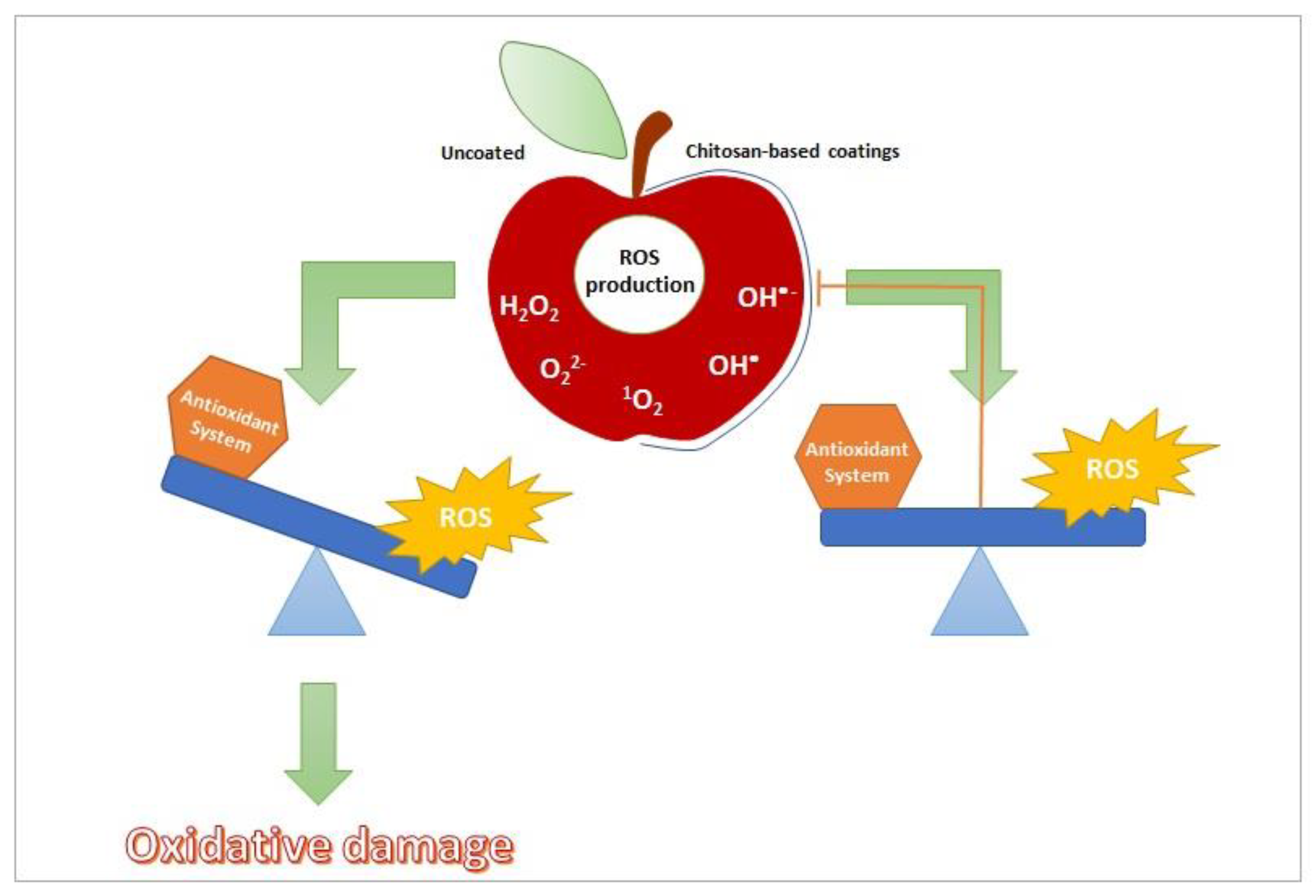 Ijms 22 02633 g003 Ijms 22 02633 g003