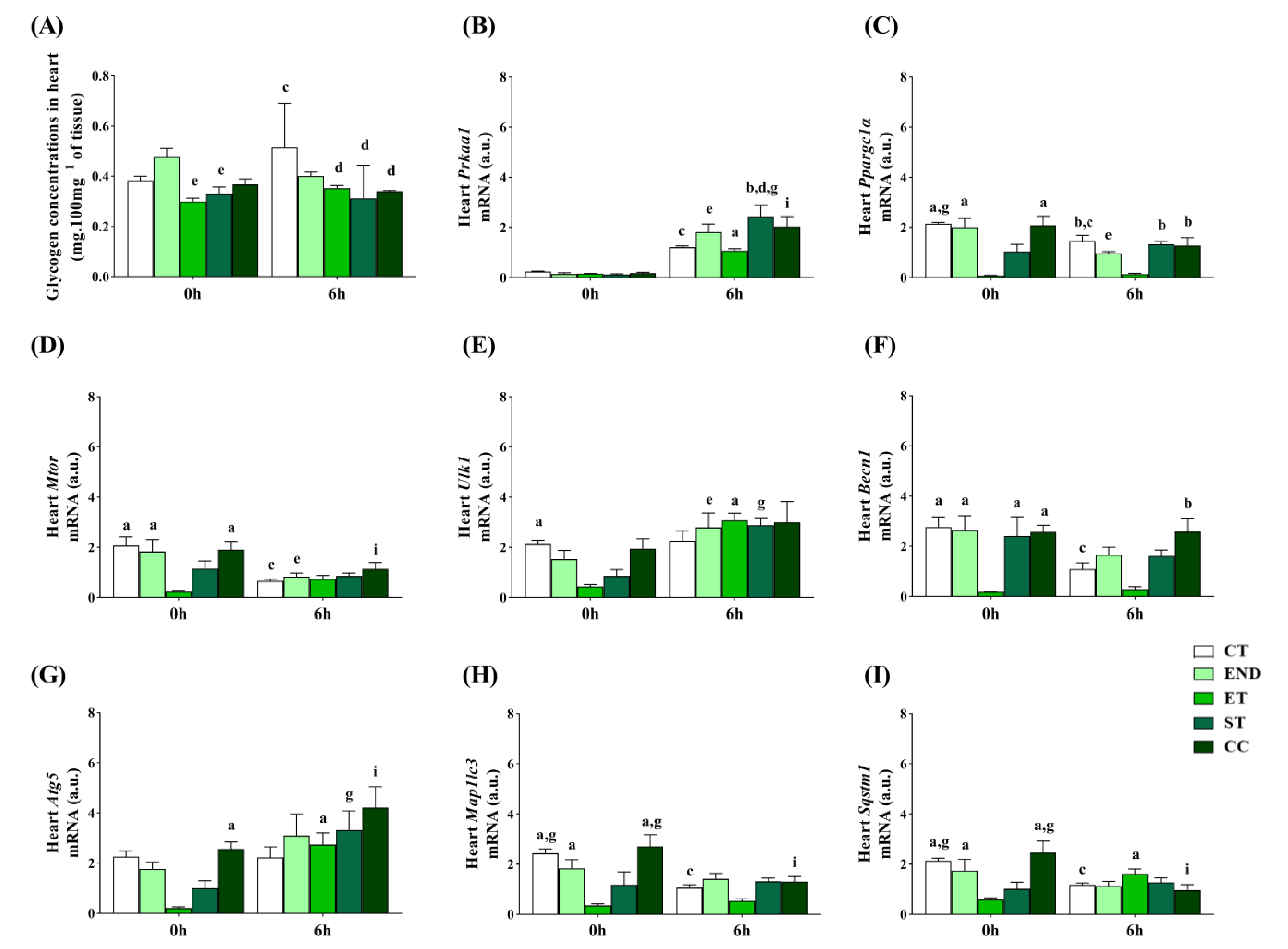 Ijms 22 02635 g005 Ijms 22 02635 g005