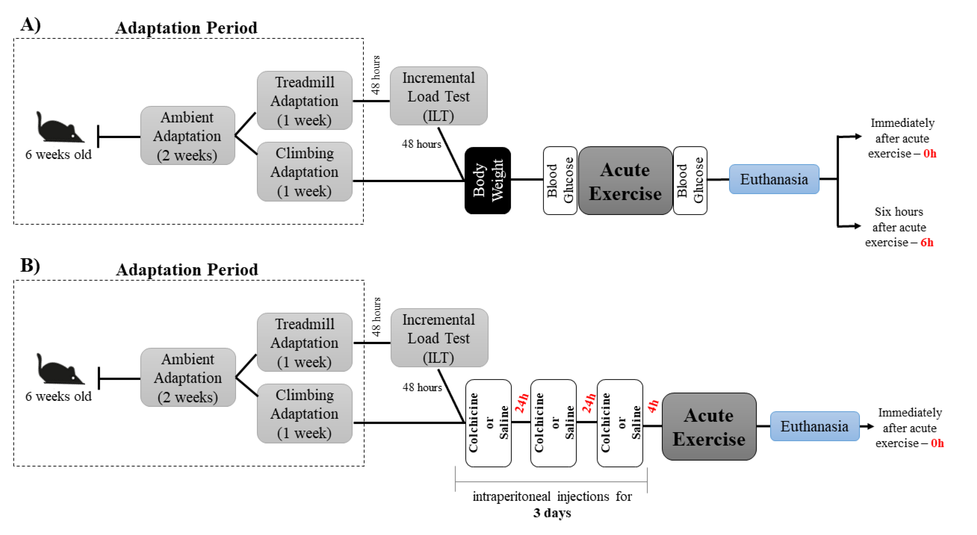 Ijms 22 02635 g008 Ijms 22 02635 g008