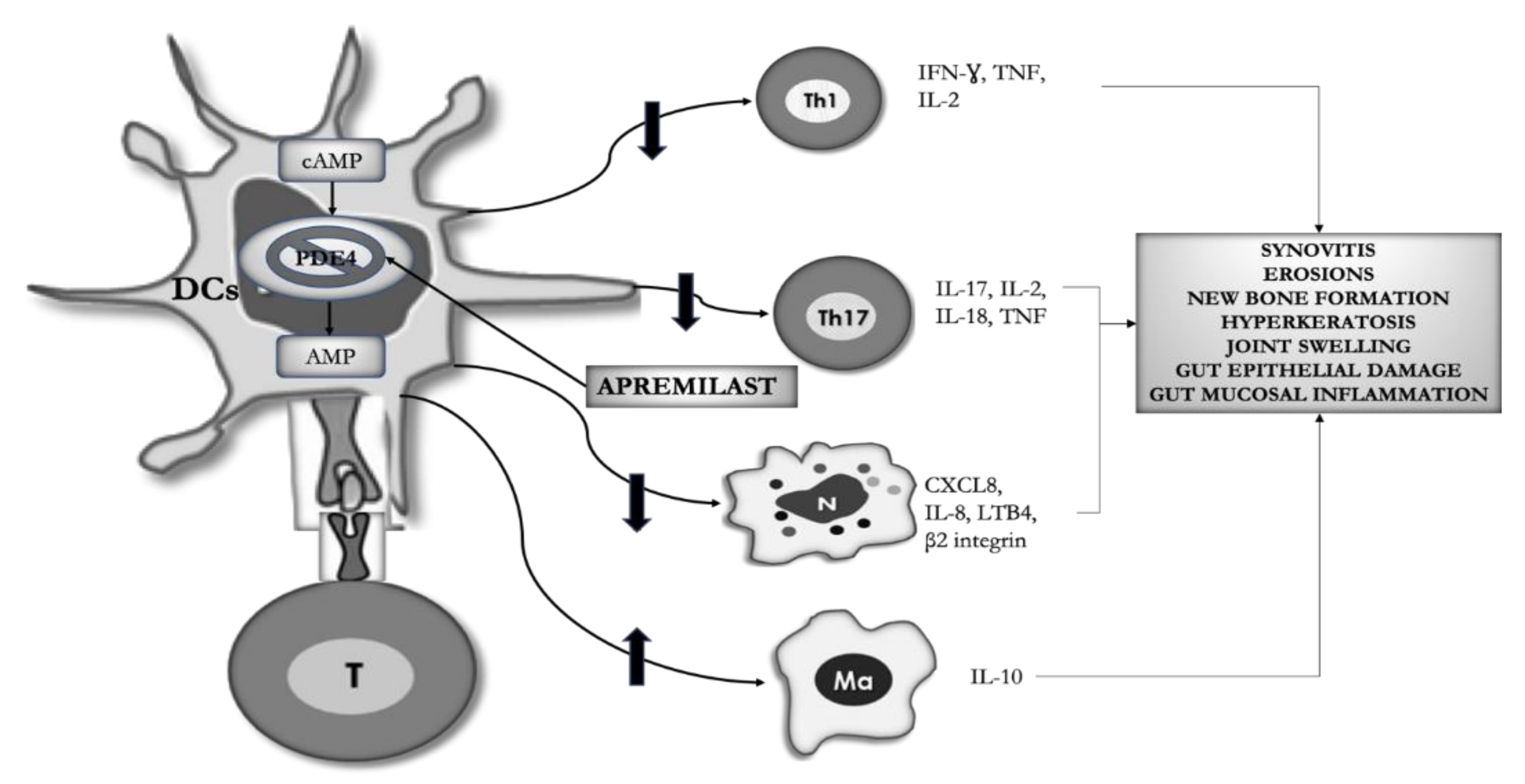 Ijms 22 02638 g001 Ijms 22 02638 g001