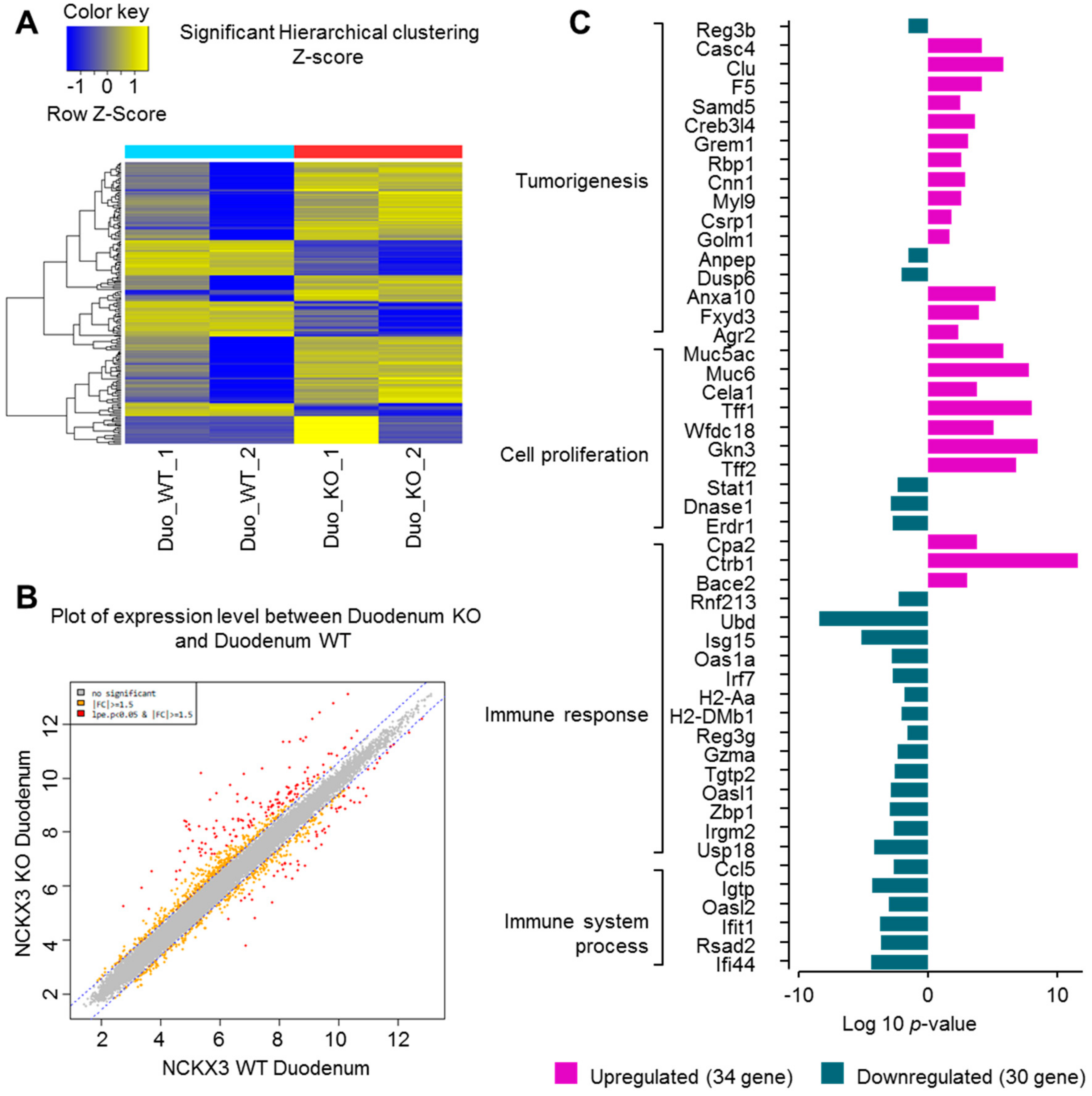 Ijms 22 02645 g001 Ijms 22 02645 g001