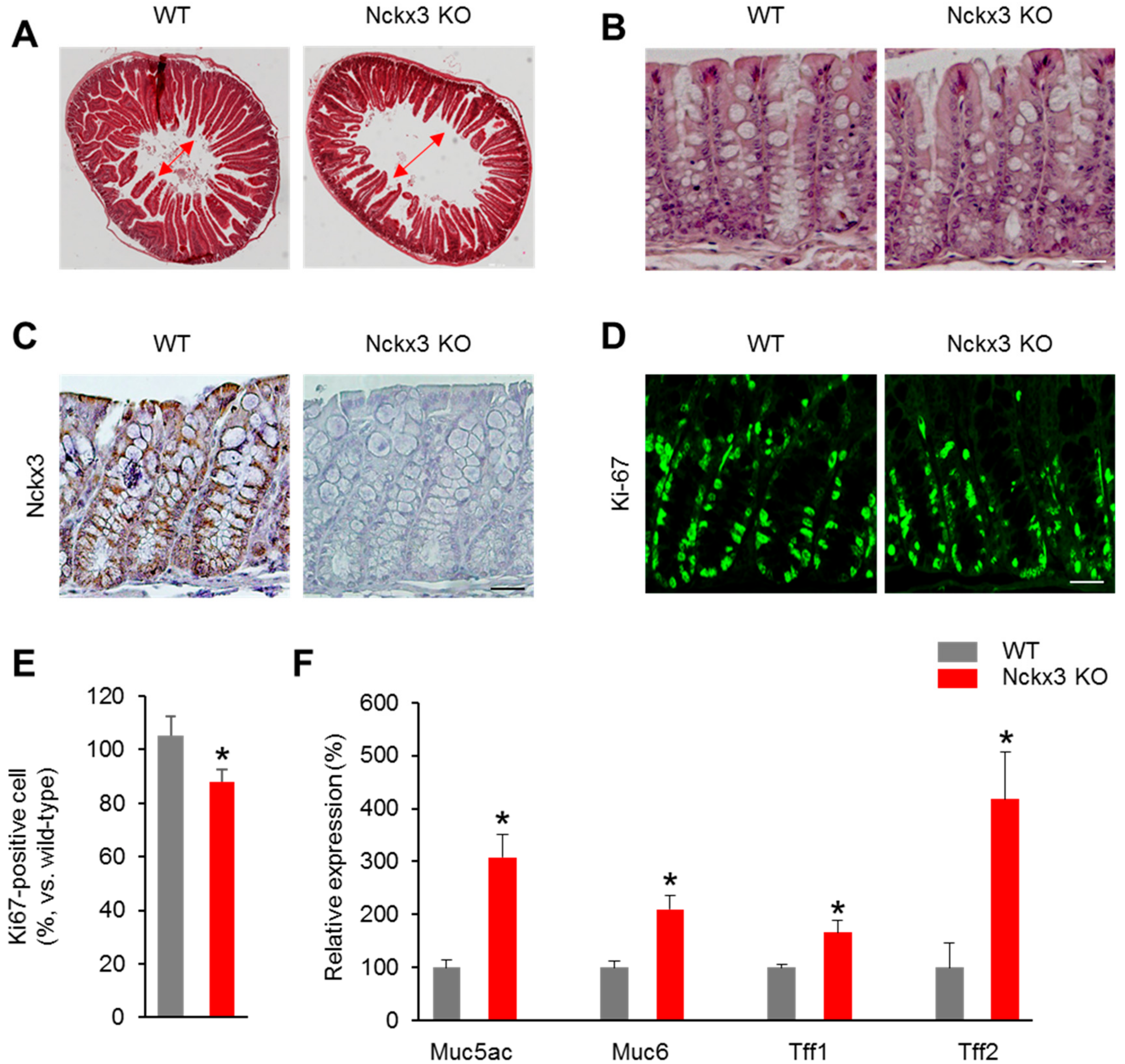 Ijms 22 02645 g003 Ijms 22 02645 g003