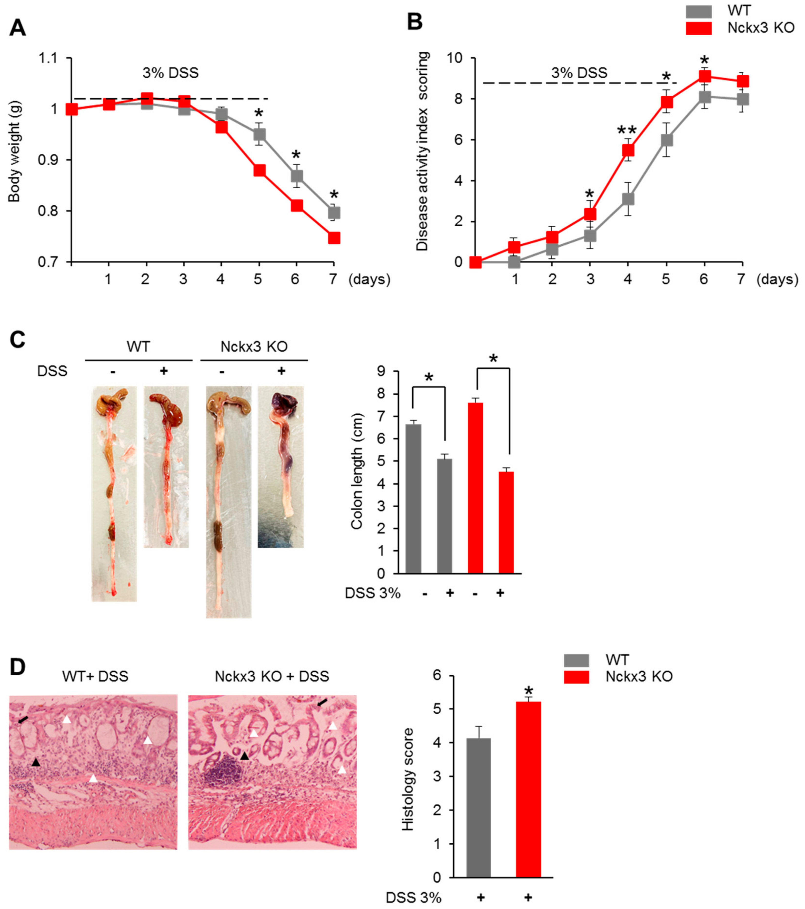 Ijms 22 02645 g004 Ijms 22 02645 g004