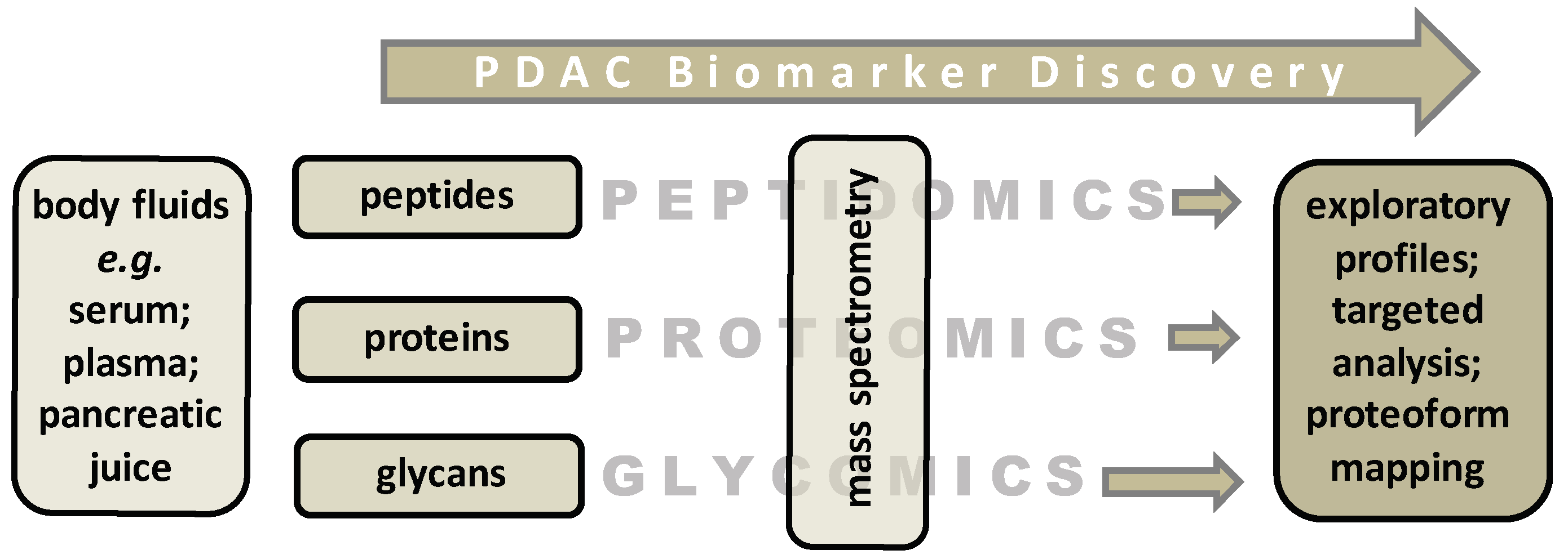 Ijms 22 02655 g002 Ijms 22 02655 g002