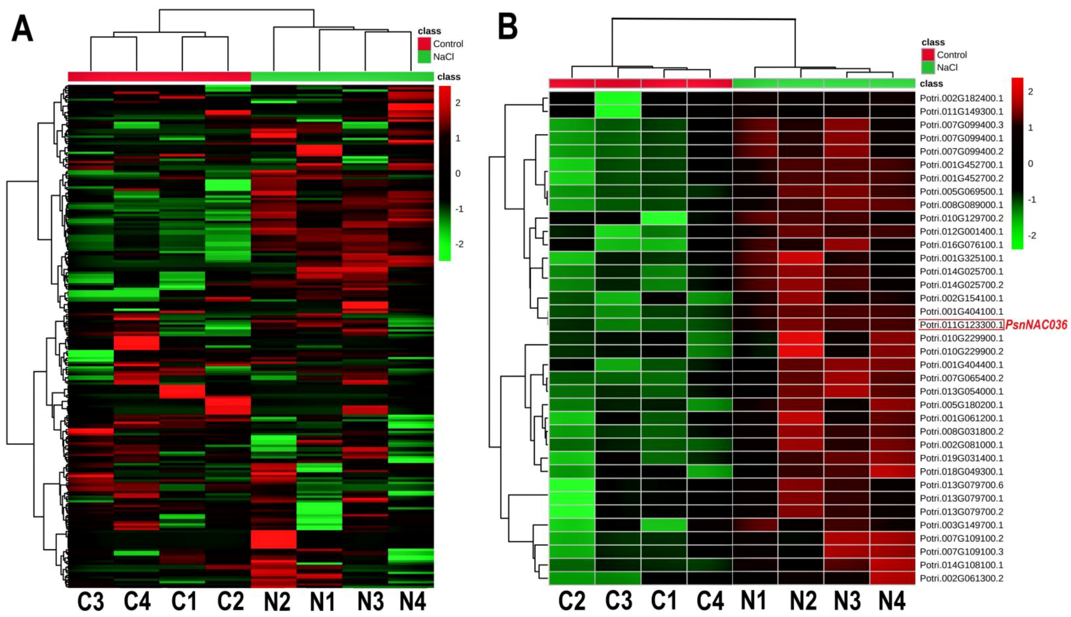 Ijms 22 02656 g001 Ijms 22 02656 g001