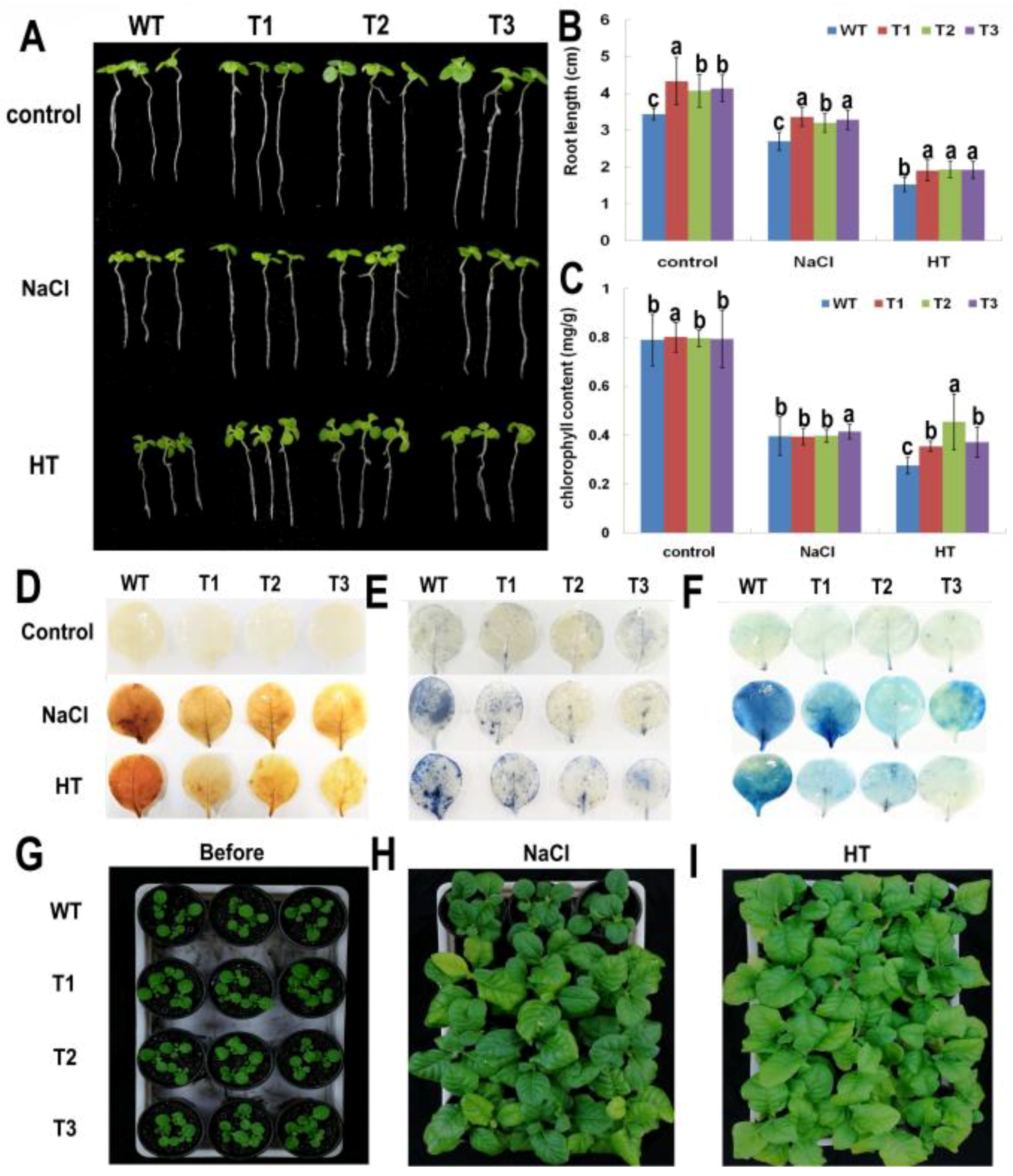 Ijms 22 02656 g006 Ijms 22 02656 g006