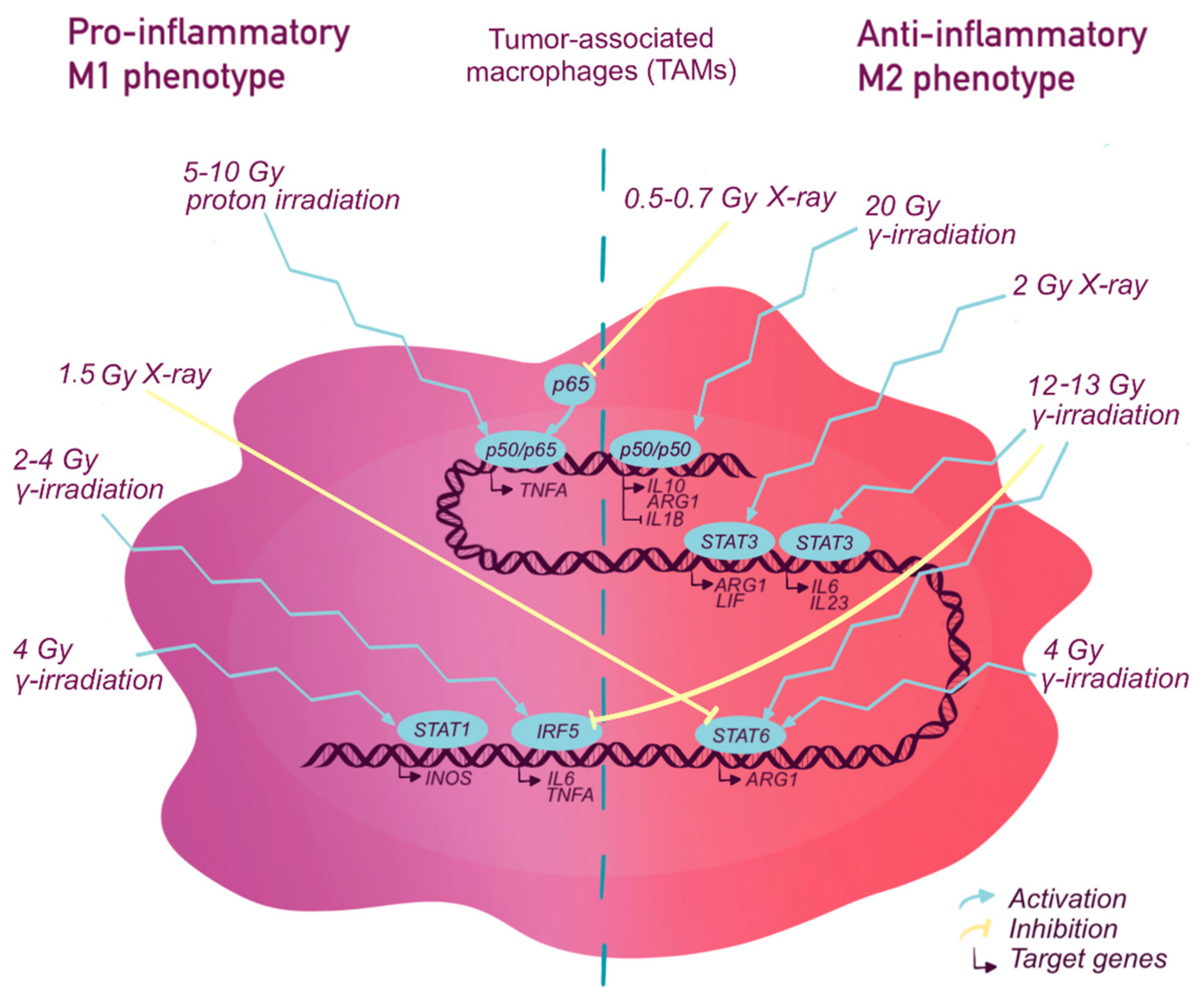 Ijms 22 02662 g002 Ijms 22 02662 g002